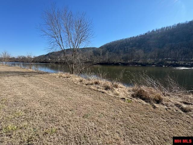 002-11202-009 Plane Tree Lane