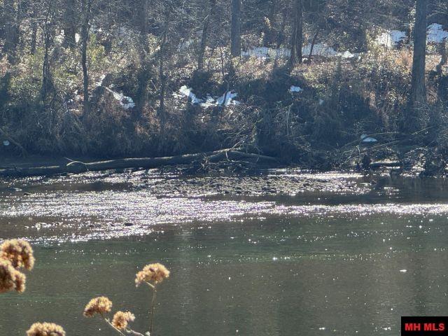 002-11202-009 Plane Tree Lane