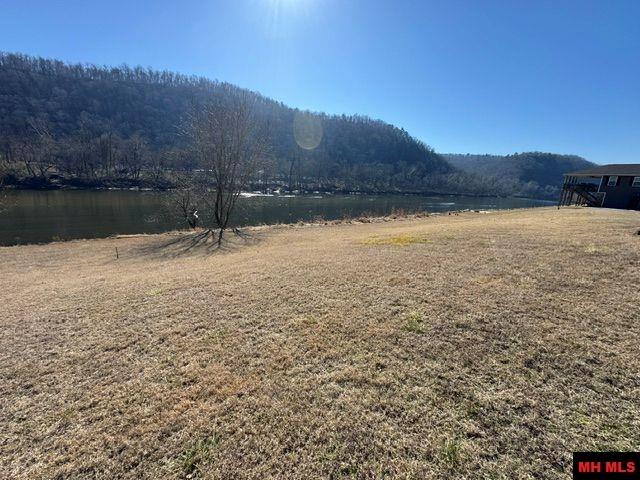 002-11202-009 Plane Tree Lane