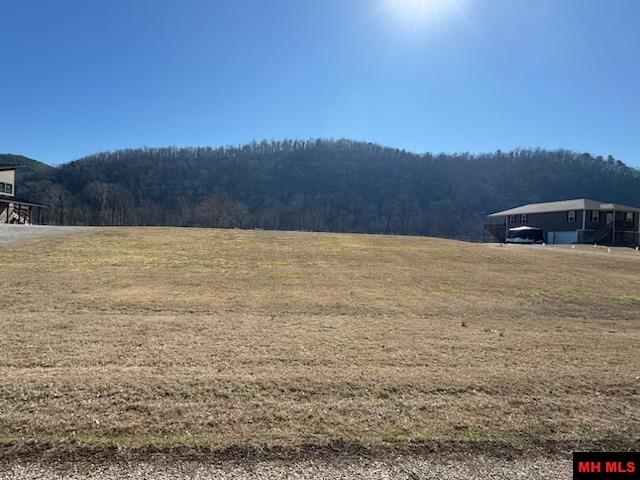 002-11202-009 Plane Tree Lane