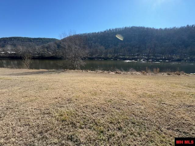 002-11202-009 Plane Tree Lane