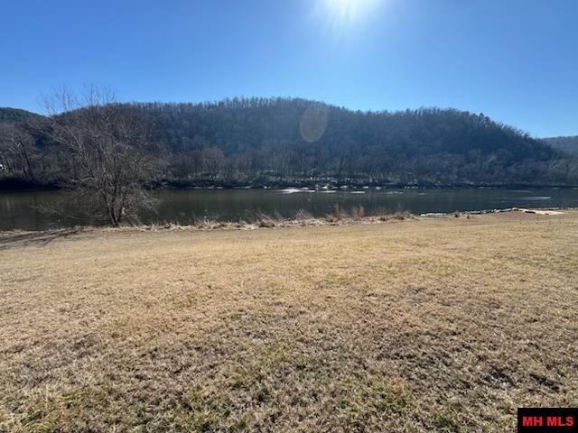 002-11202-009 Plane Tree Lane