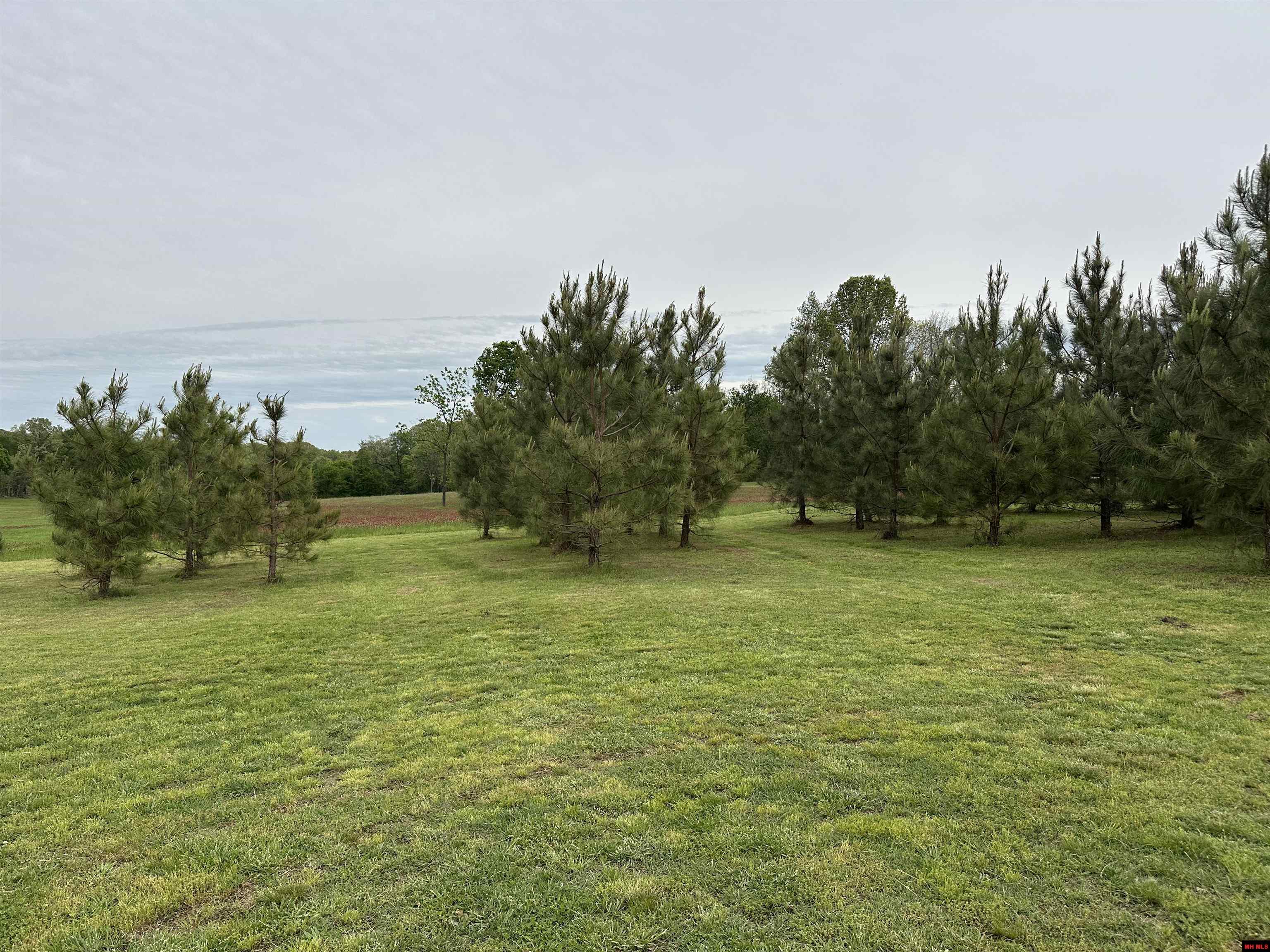 001-01932-000 Mc 7055