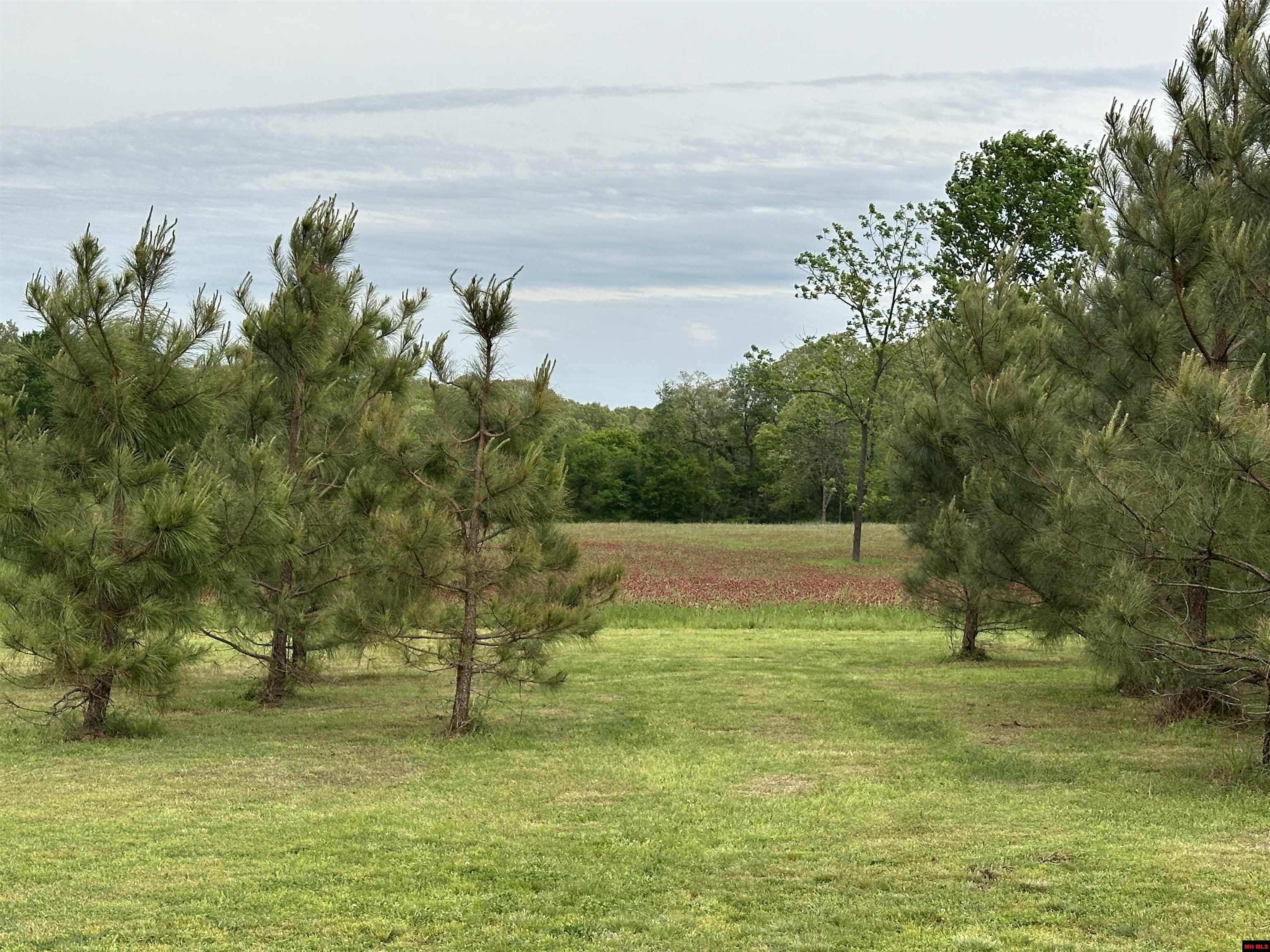 001-01932-000 Mc 7055