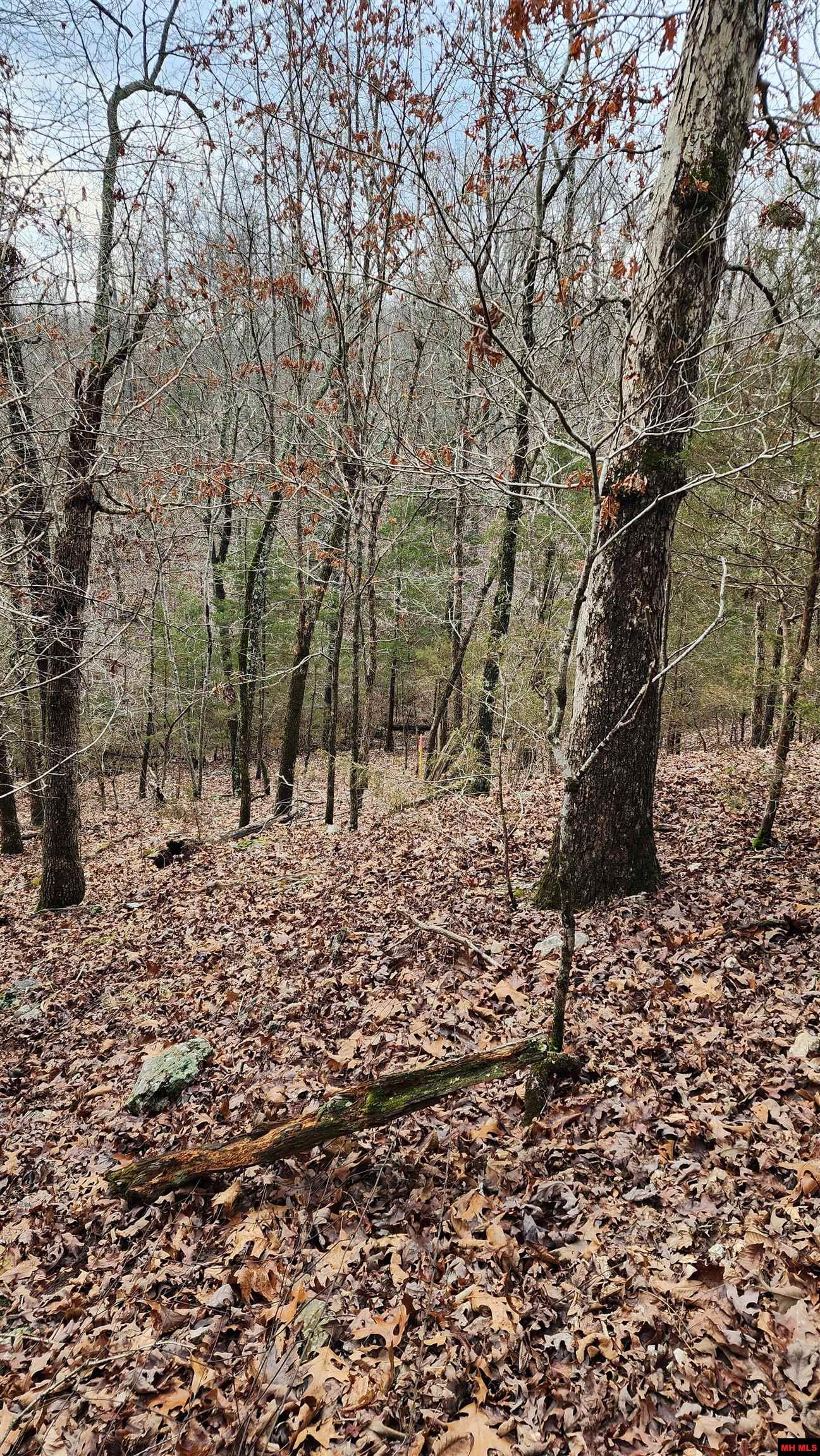 Lot 36 Kingsway Circle