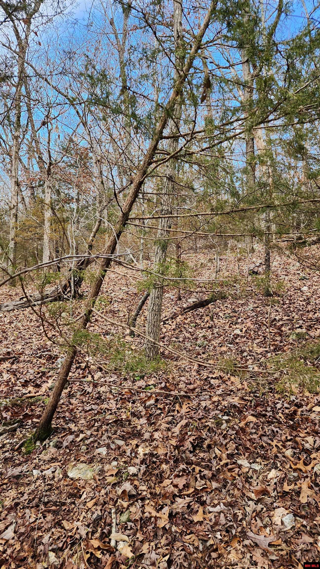 Lot 36 Kingsway Circle