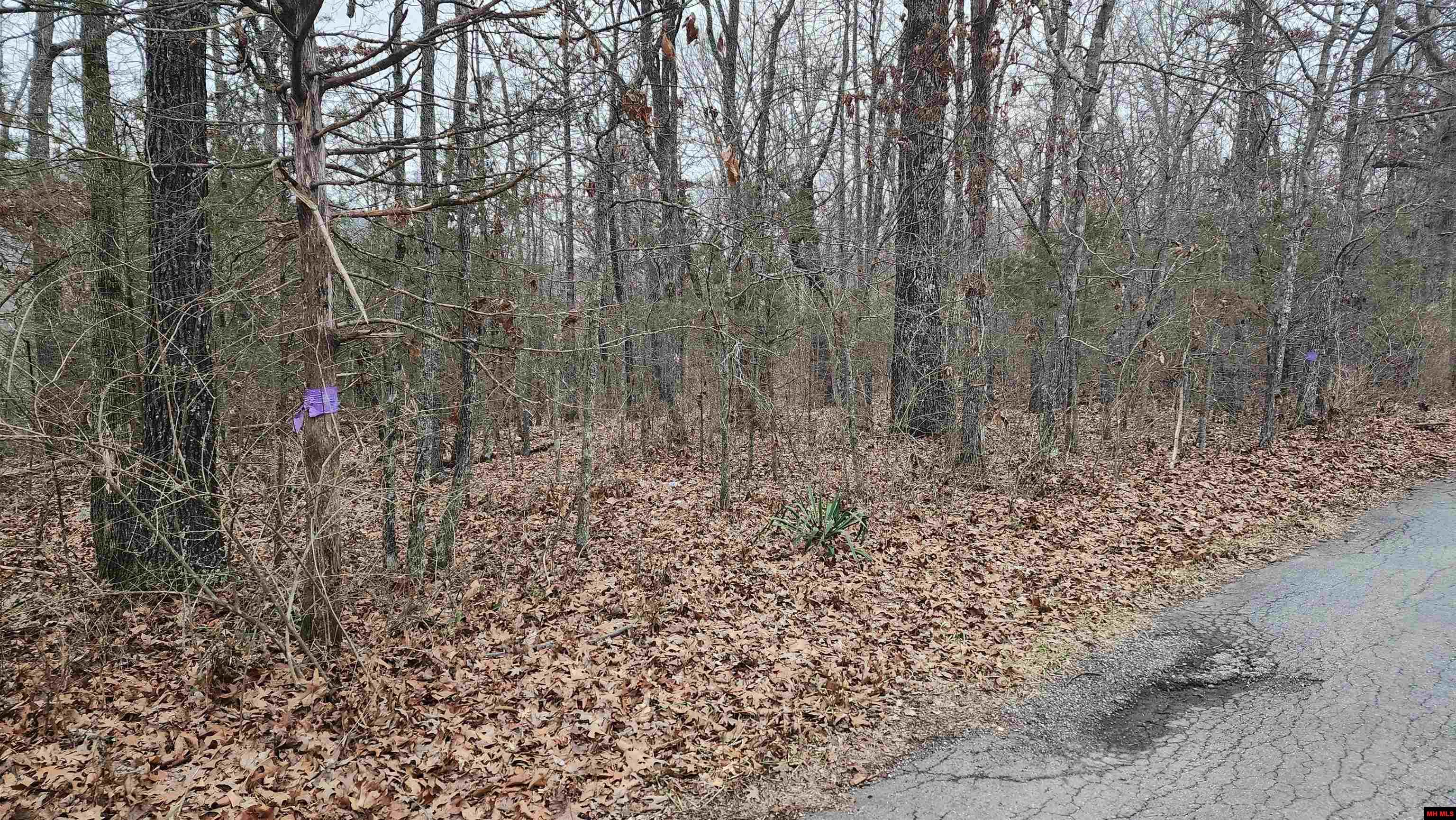 Lot 36 Kingsway Circle