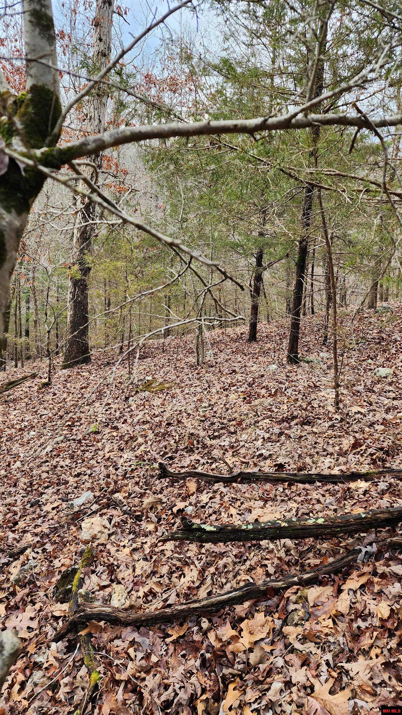 Lot 36 Kingsway Circle