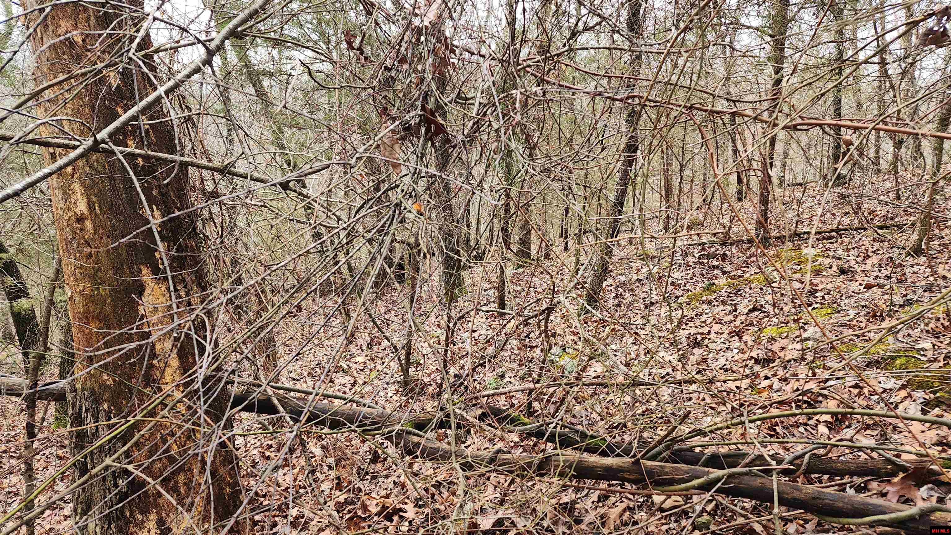 Lot 37 Kingsway Circle