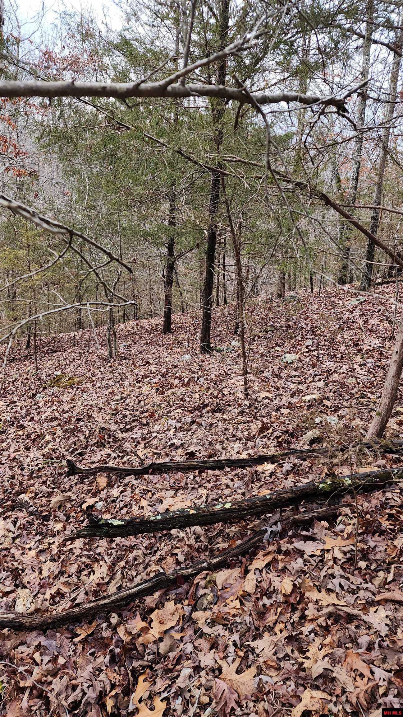 Lot 37 Kingsway Circle