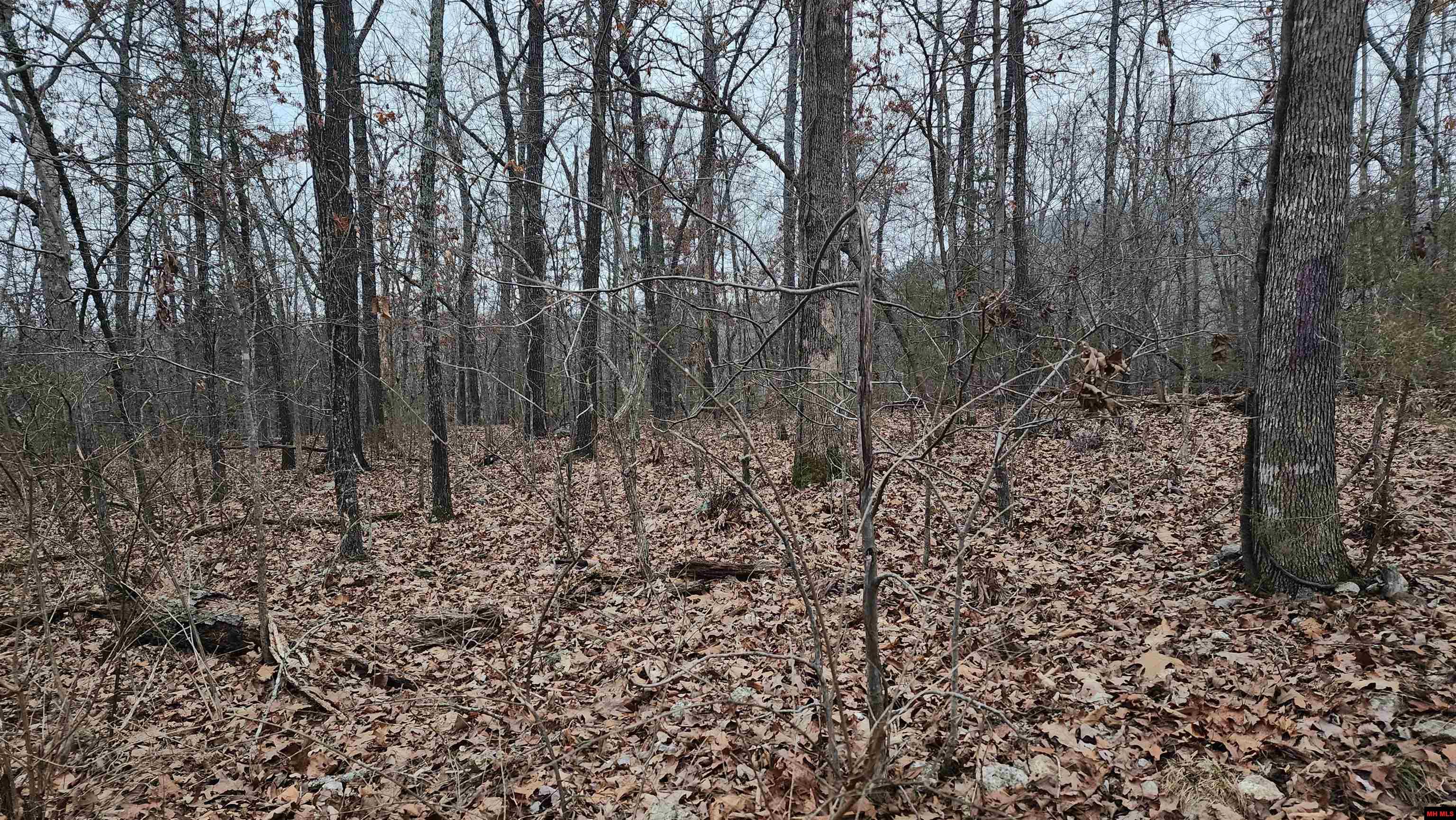 Lot 38 Kingsway Circle