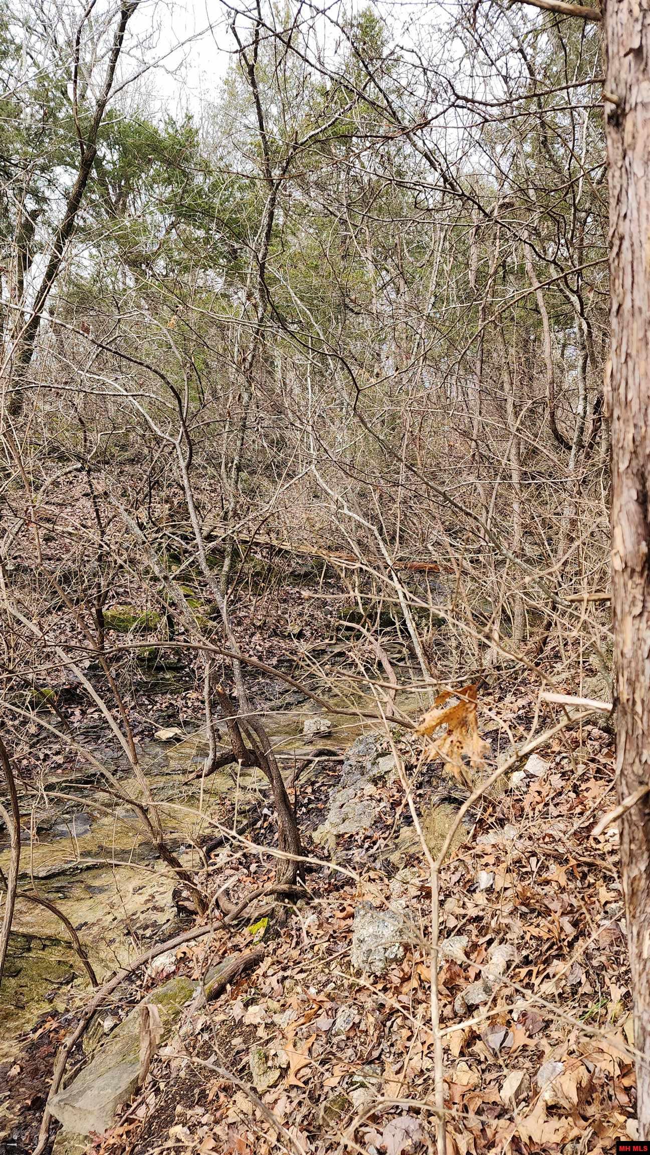 Lot 38 Kingsway Circle