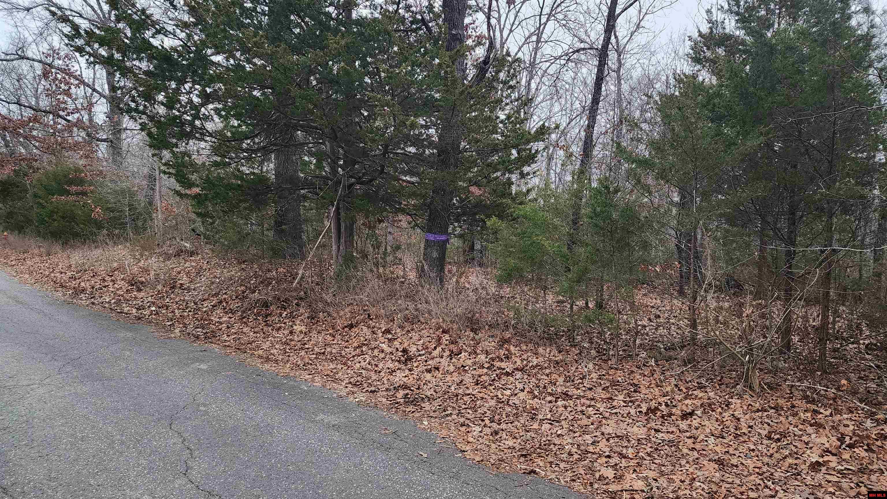 Lot 38 Kingsway Circle