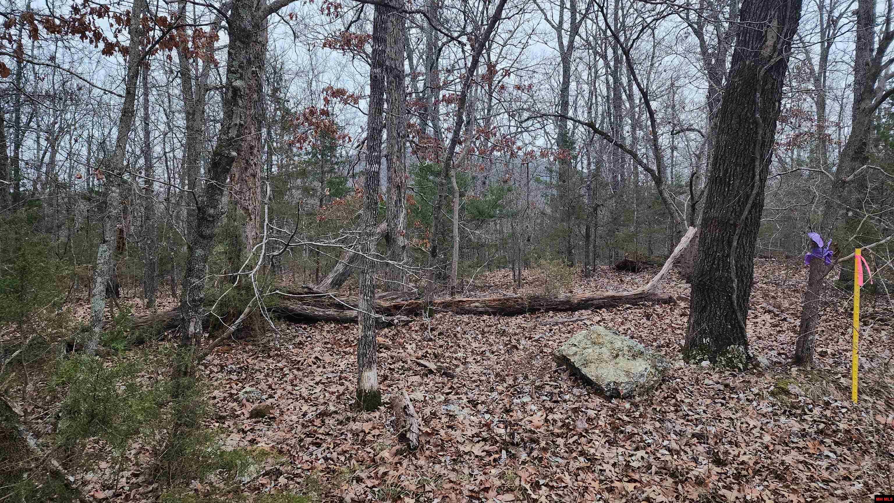 Lot 39 Kingsway Circle