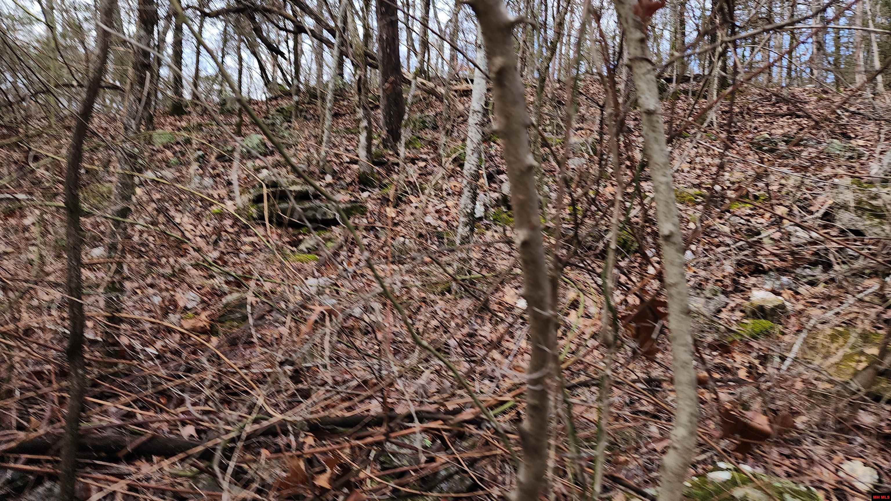 Lot 39 Kingsway Circle