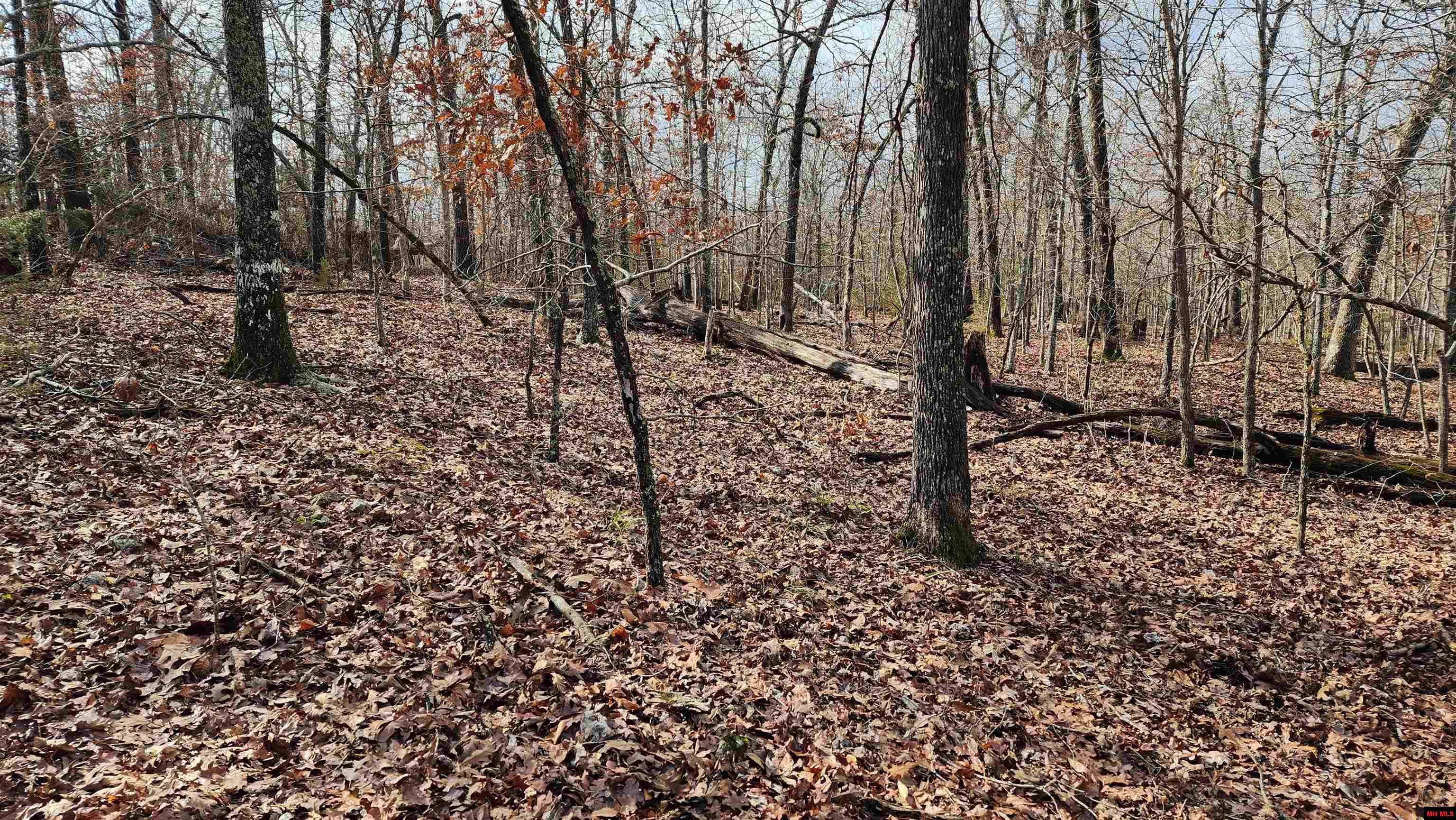 76027036000 Kingsway Circle