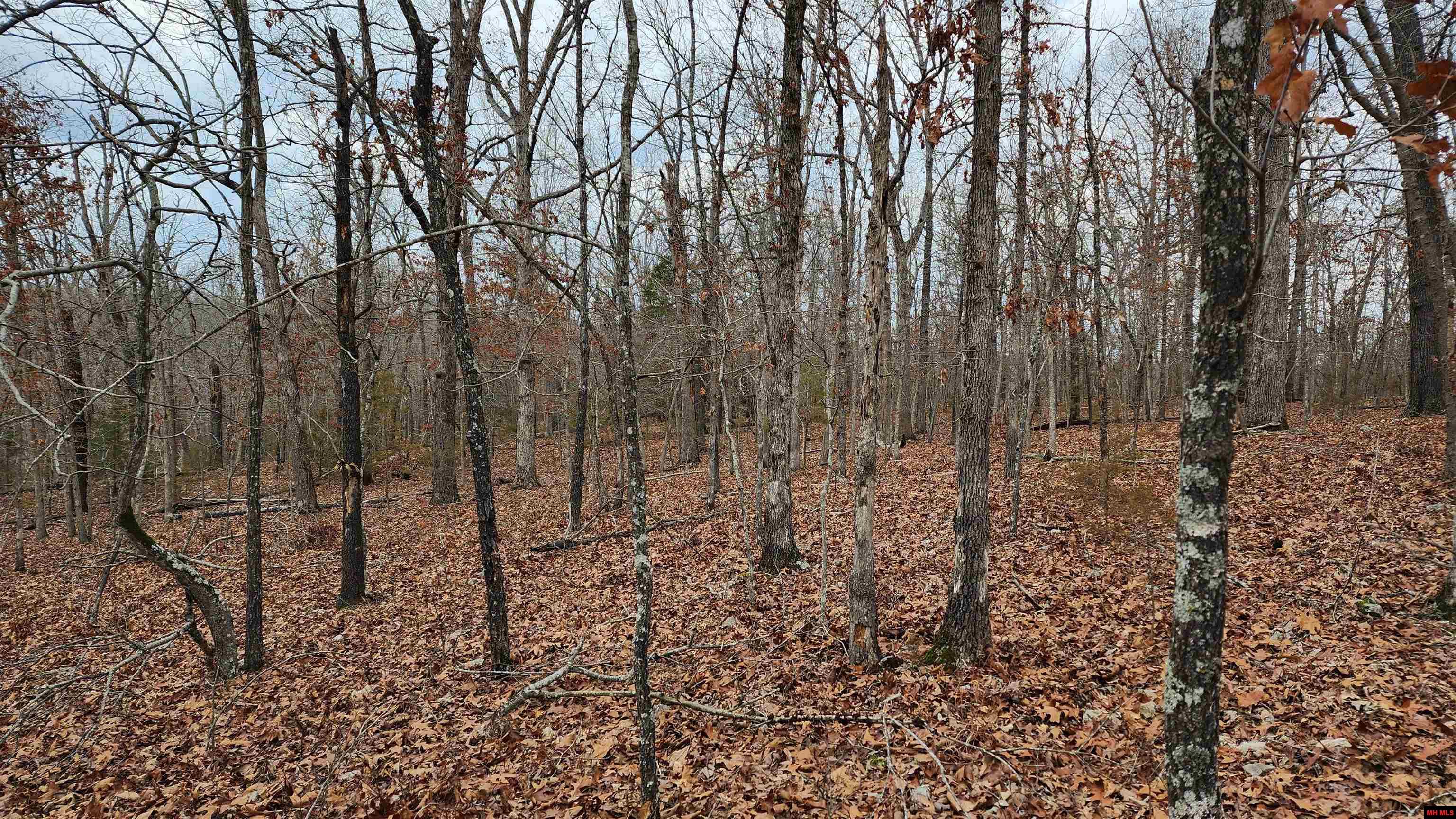 76027036000 Kingsway Circle