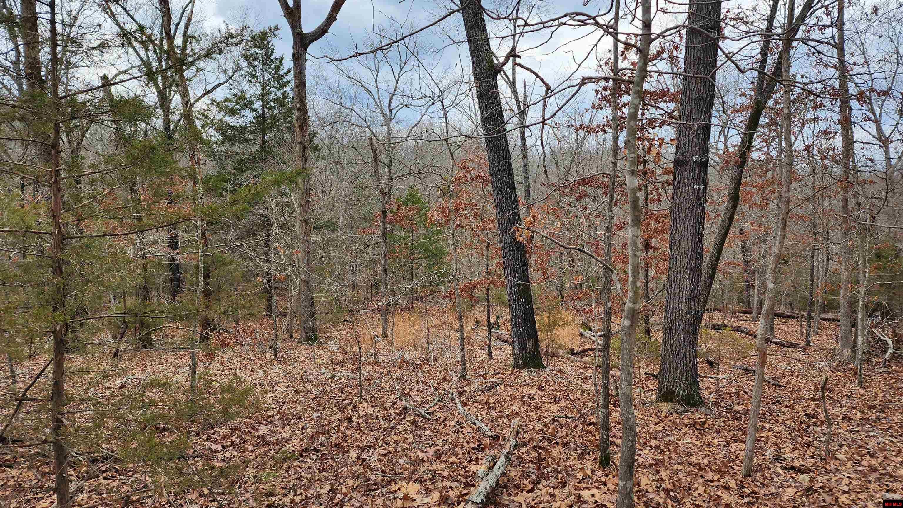 76027036000 Kingsway Circle