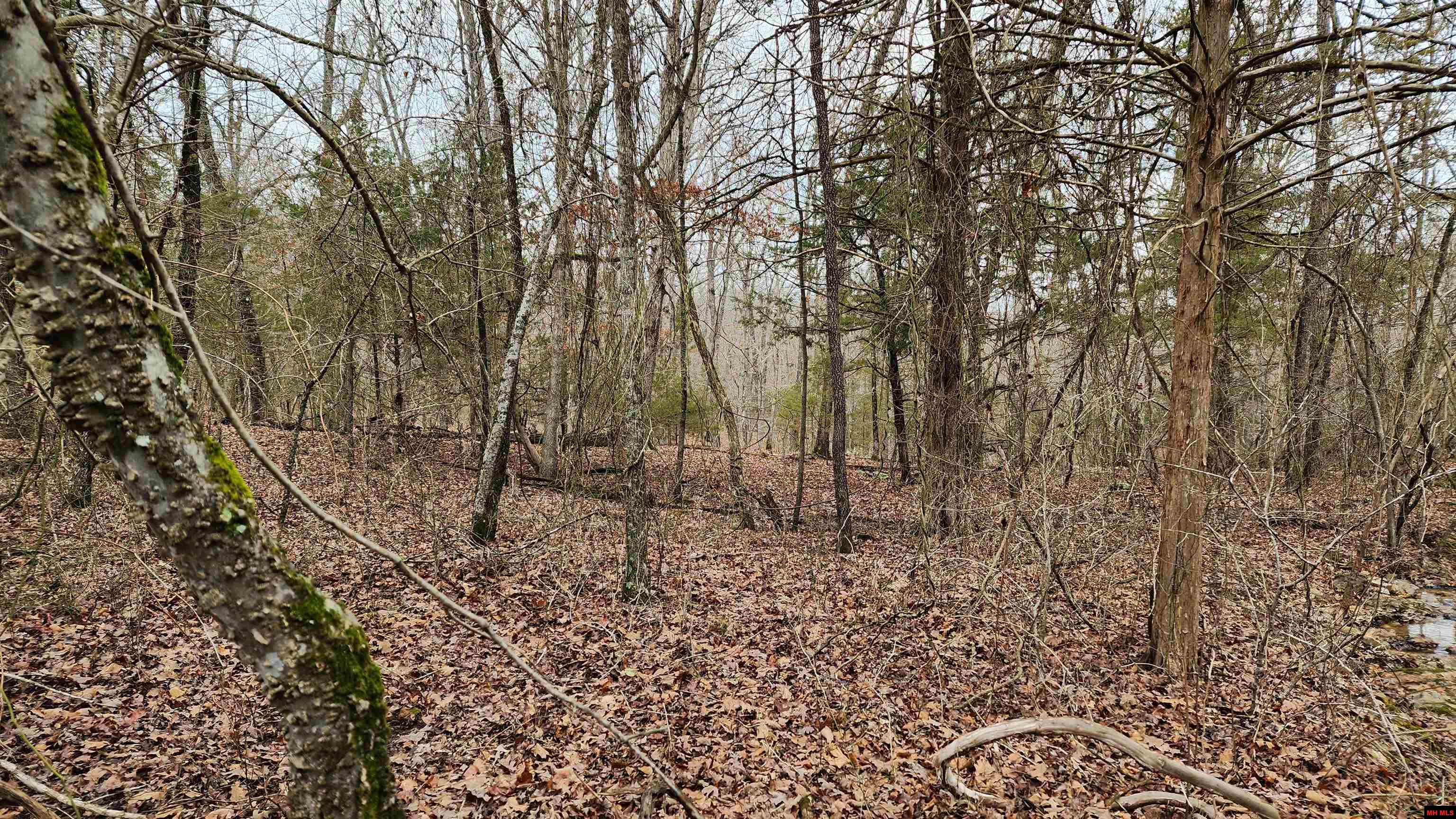 76027036000 Kingsway Circle