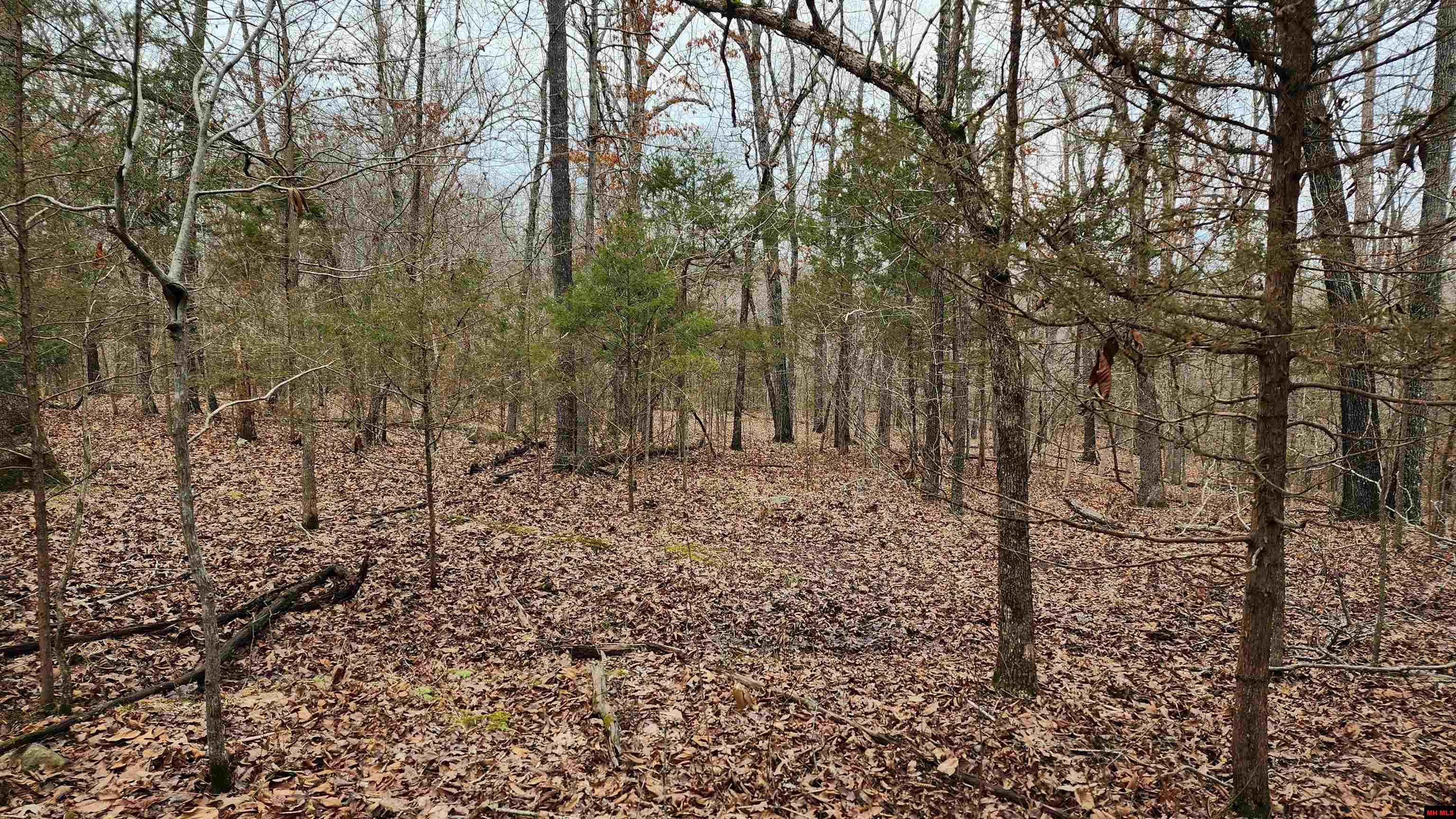 76027036000 Kingsway Circle