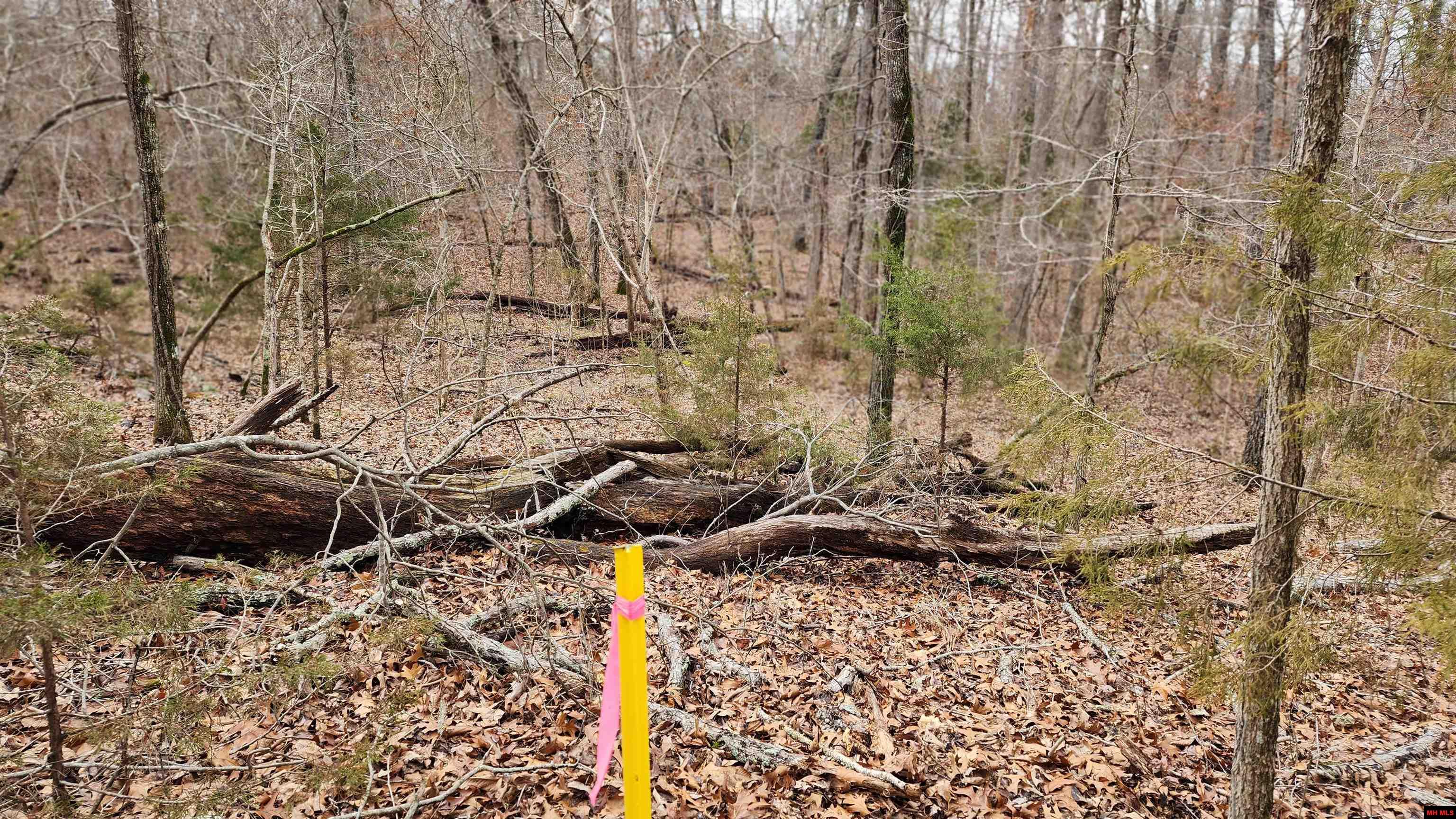 76027036000 Kingsway Circle