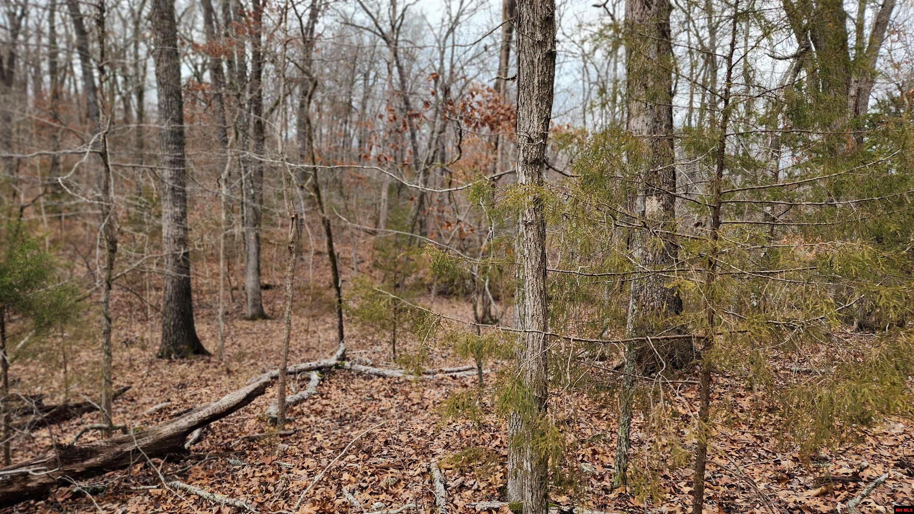 76027036000 Kingsway Circle