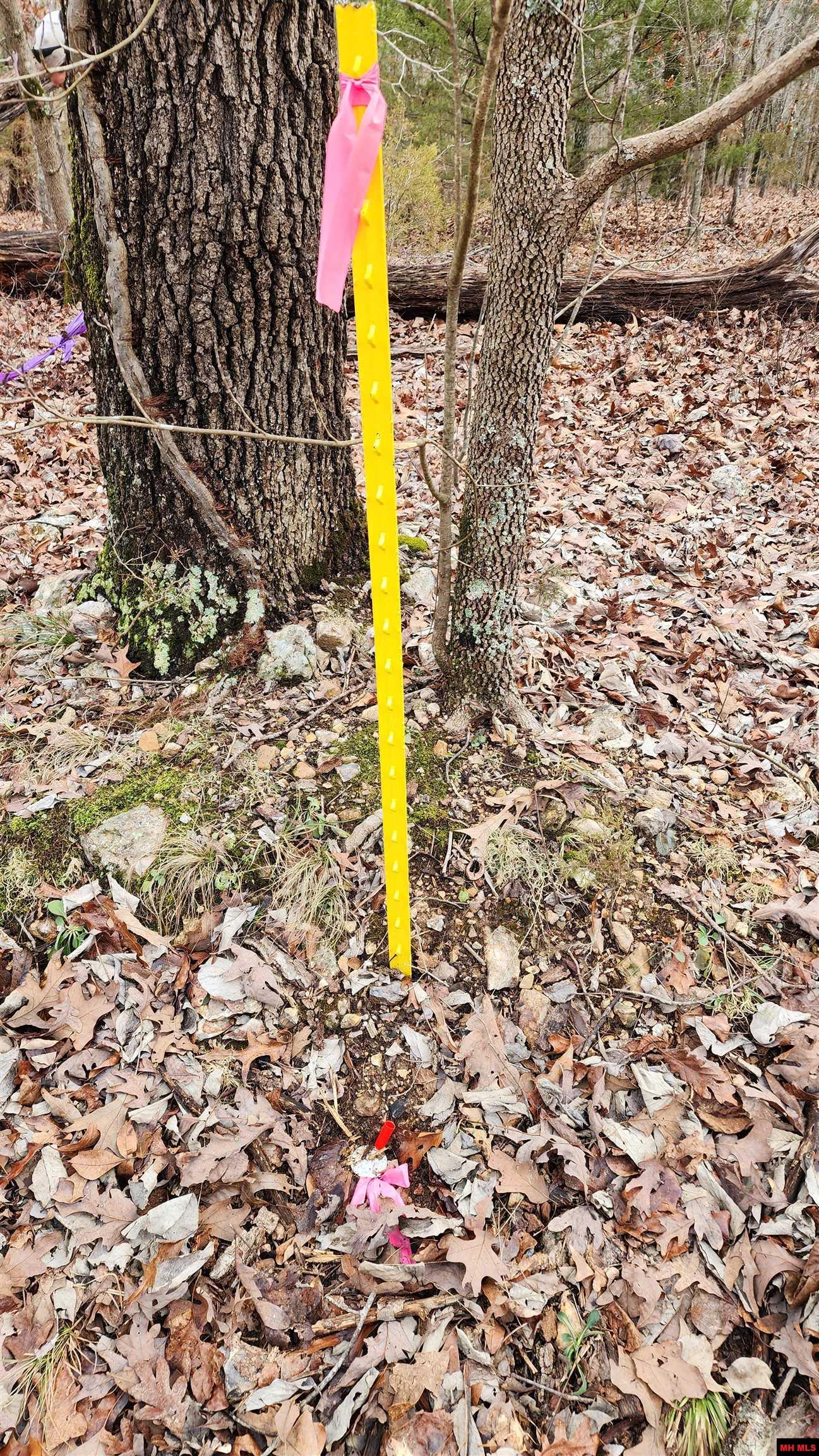 76027036000 Kingsway Circle