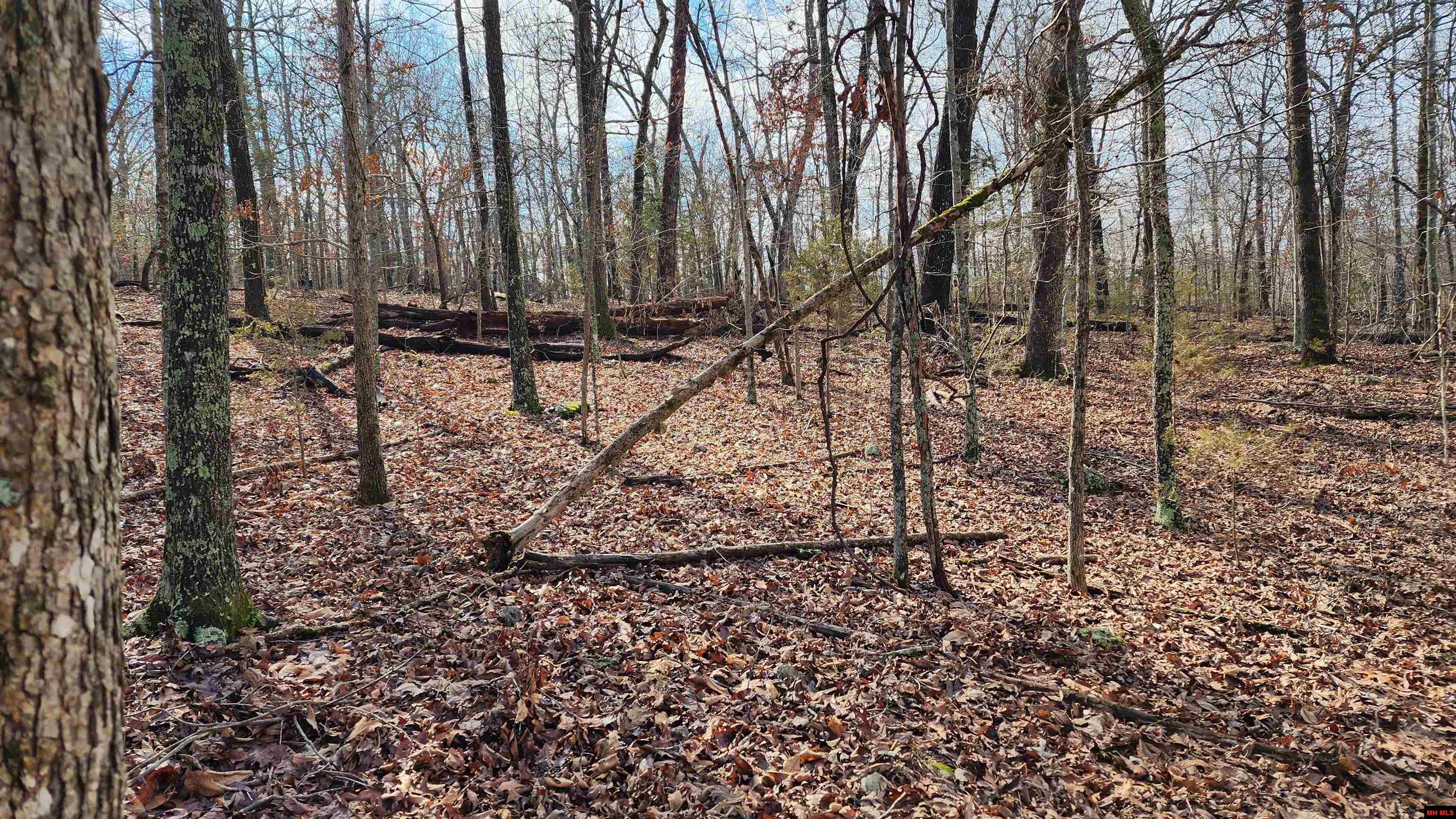 76027036000 Kingsway Circle