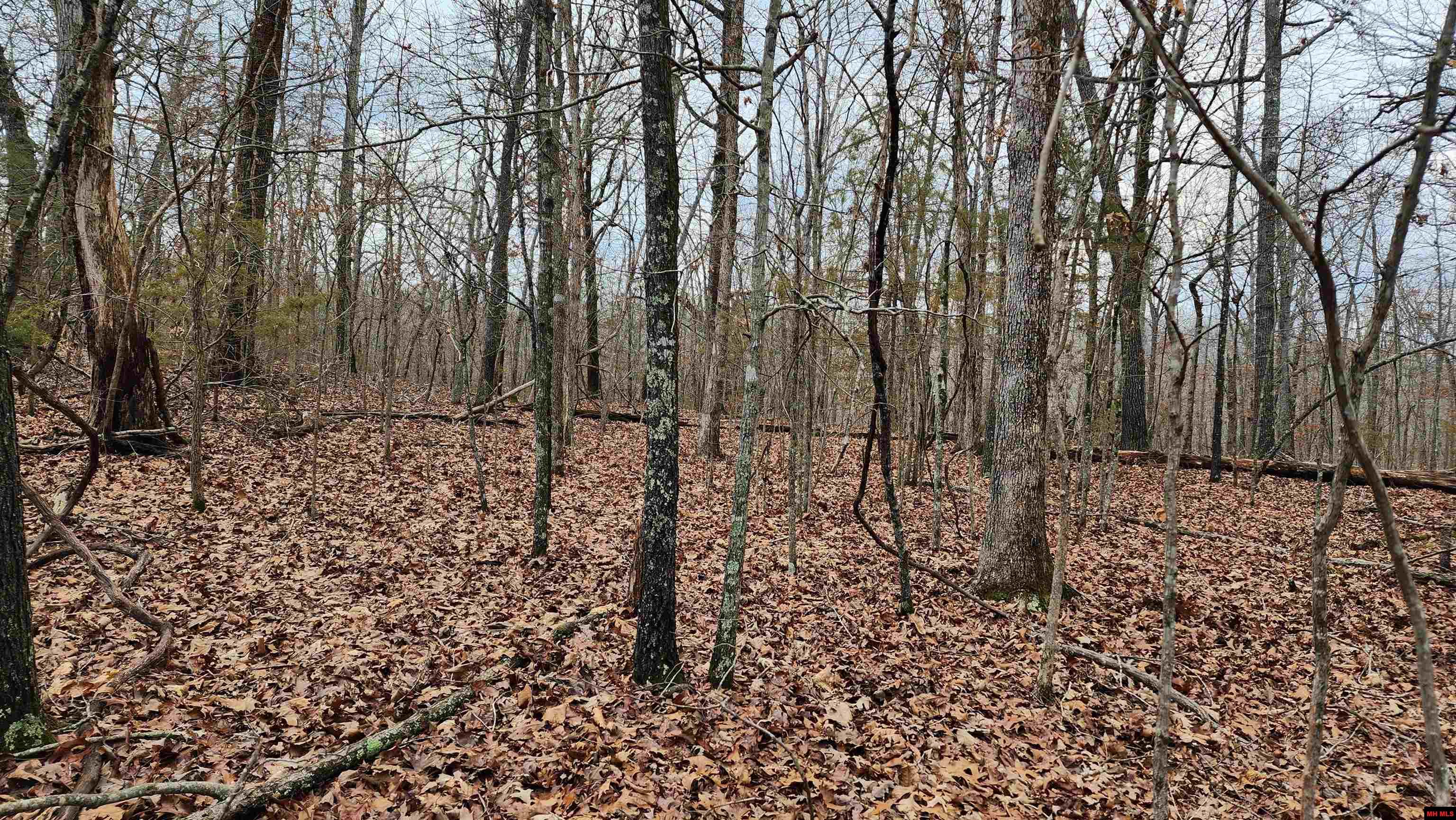 76027036000 Kingsway Circle