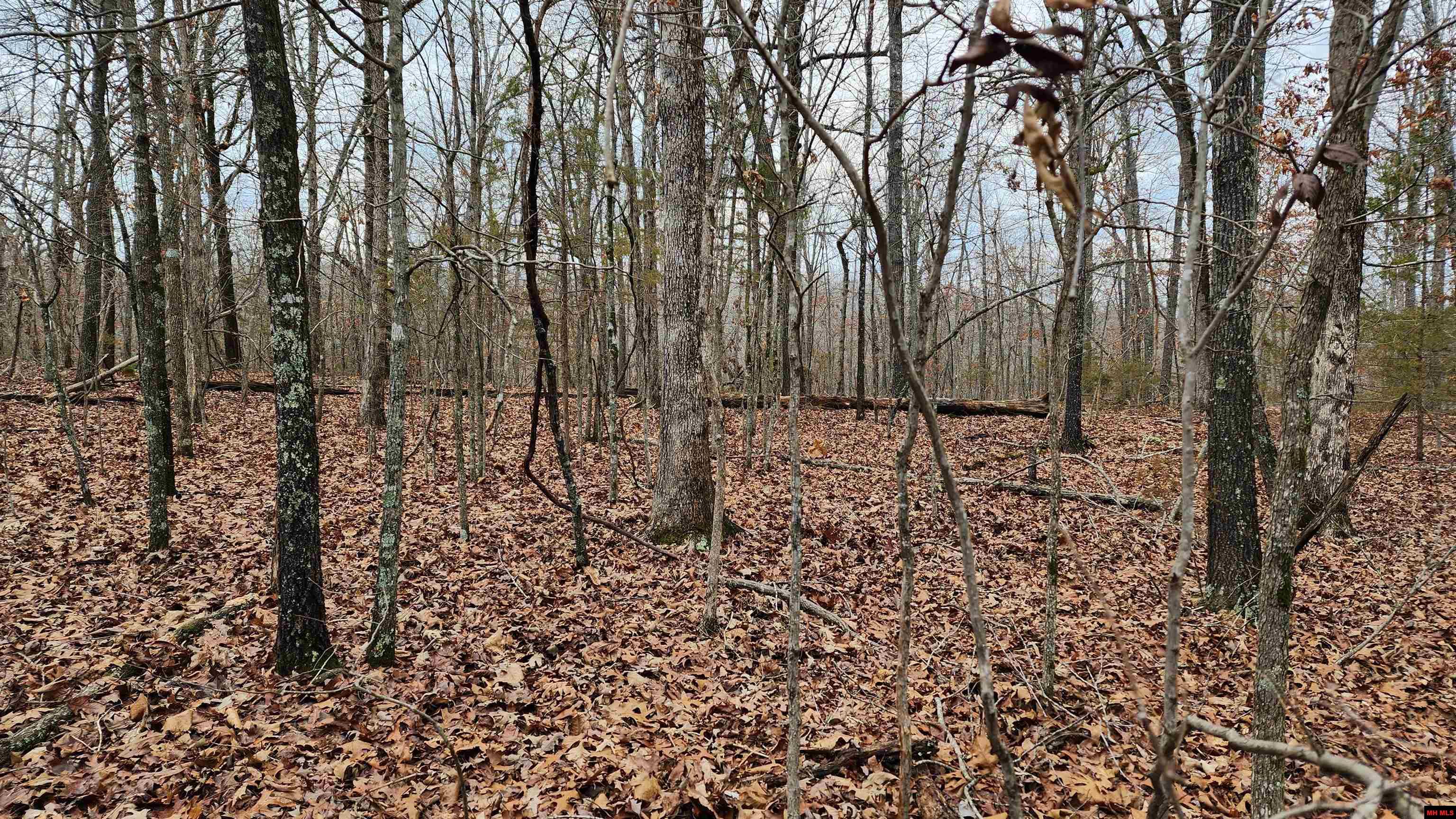 76027036000 Kingsway Circle