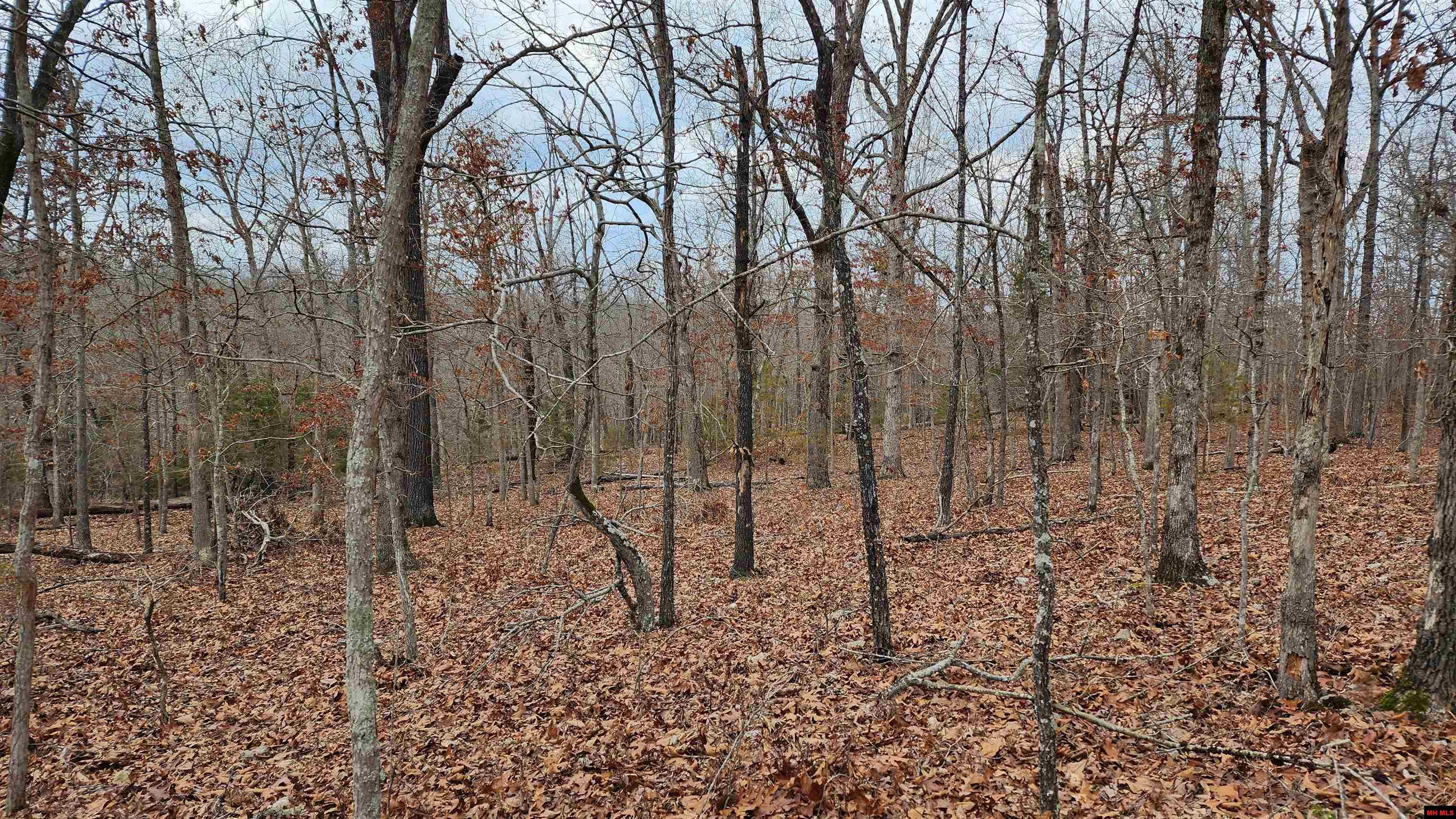 76027036000 Kingsway Circle