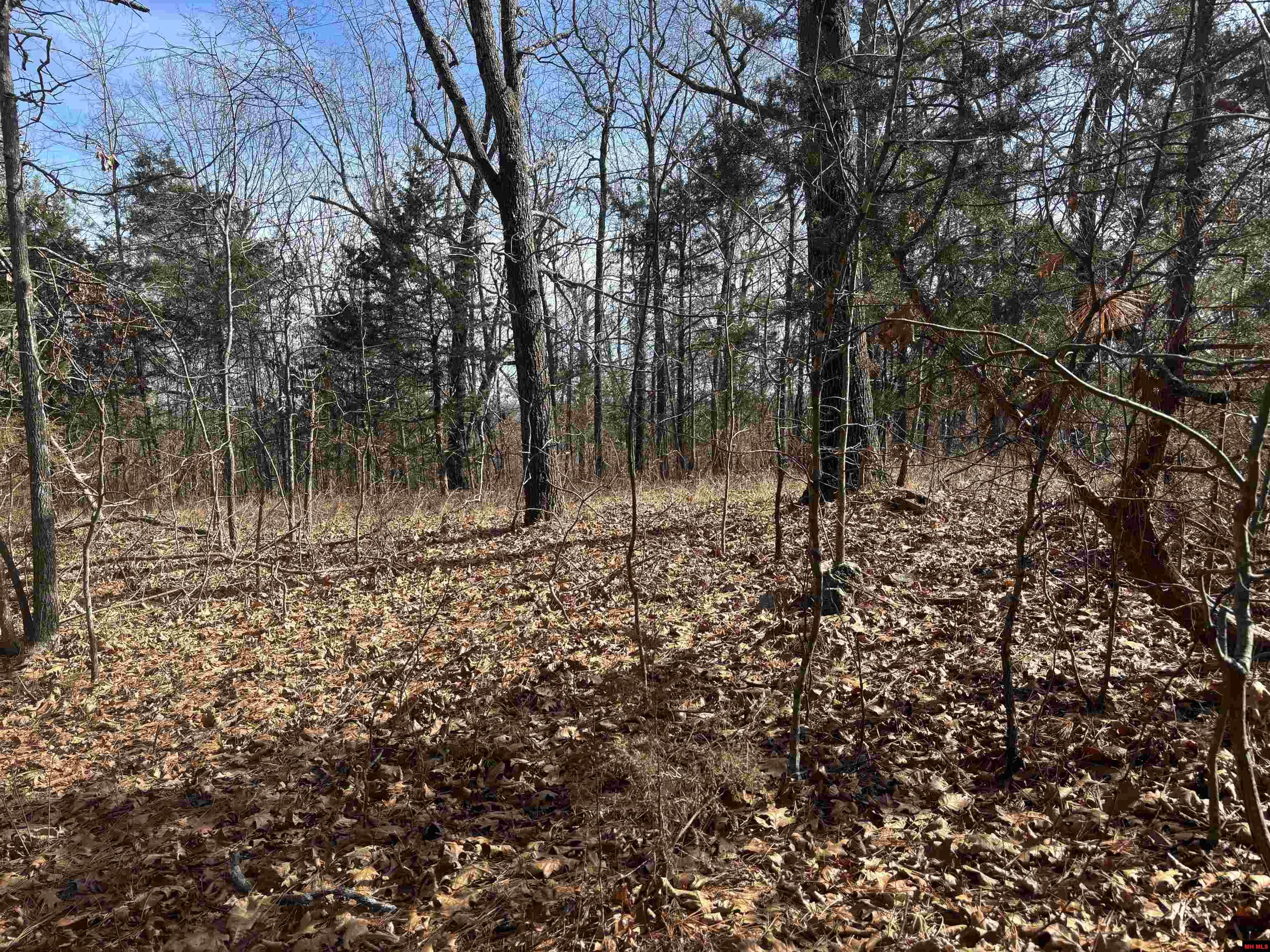 001-00639-001 Cr 230