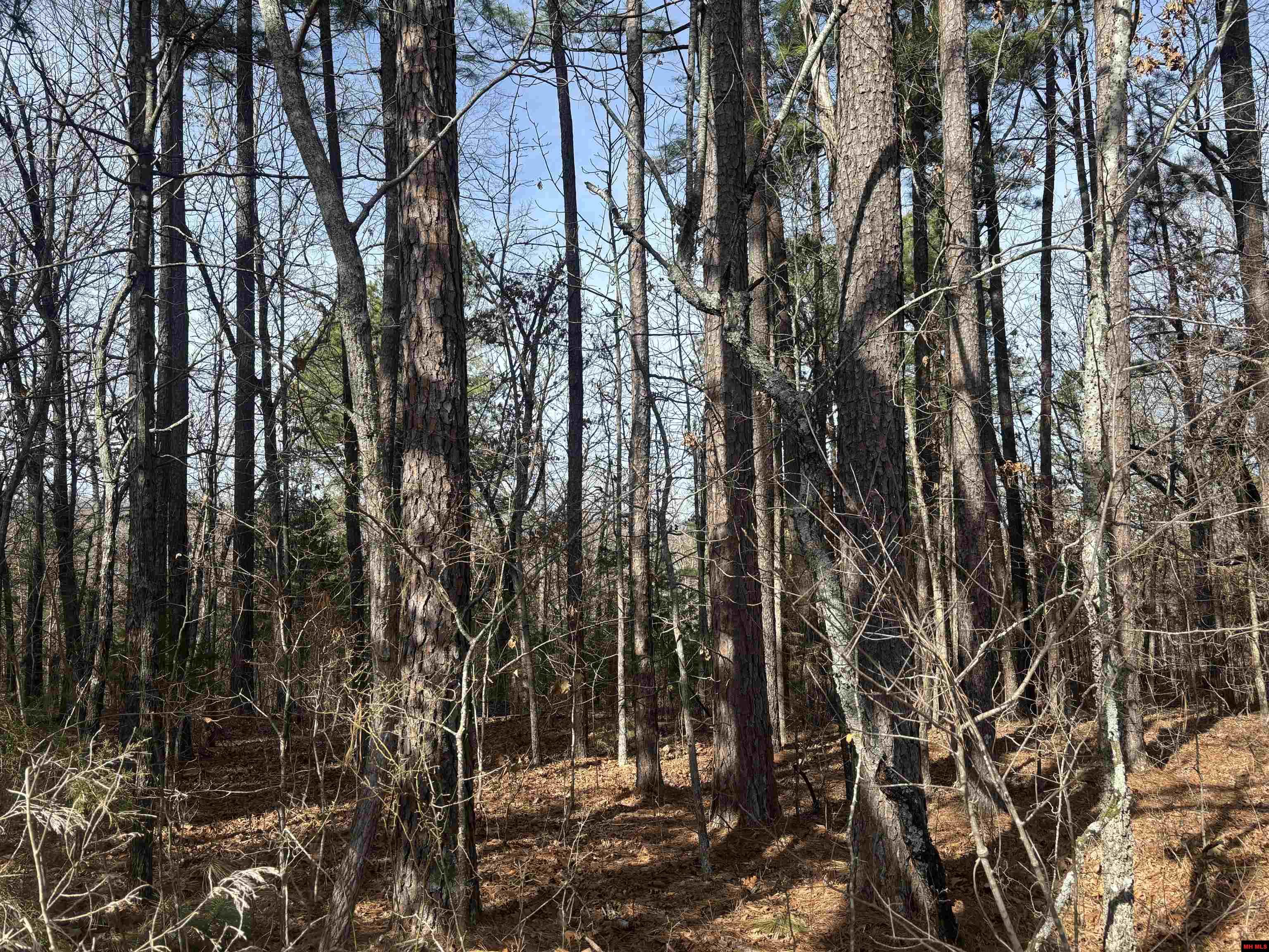 001-00639-001 Cr 230