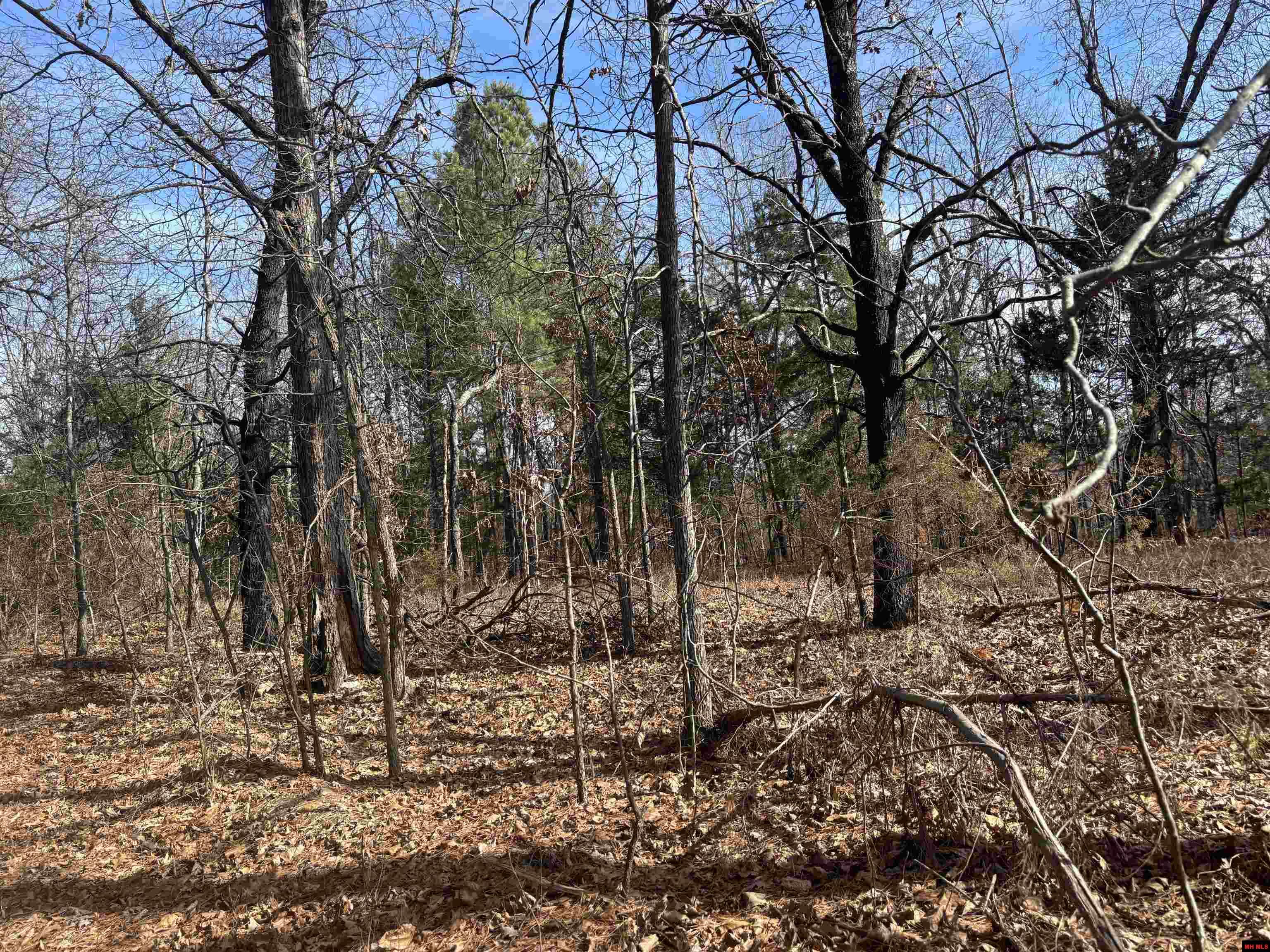 001-00639-001 Cr 230