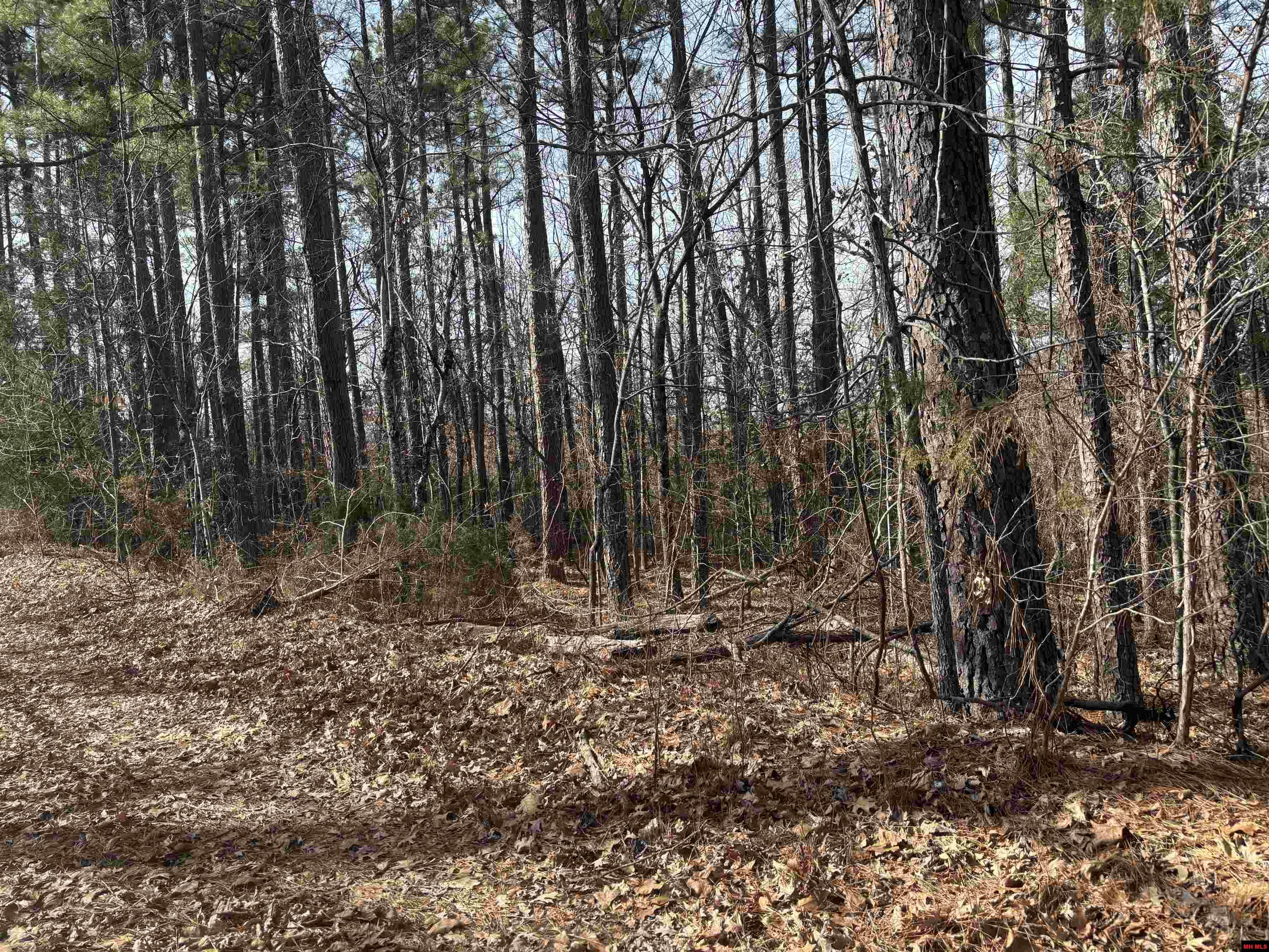 001-00639-001 Cr 230