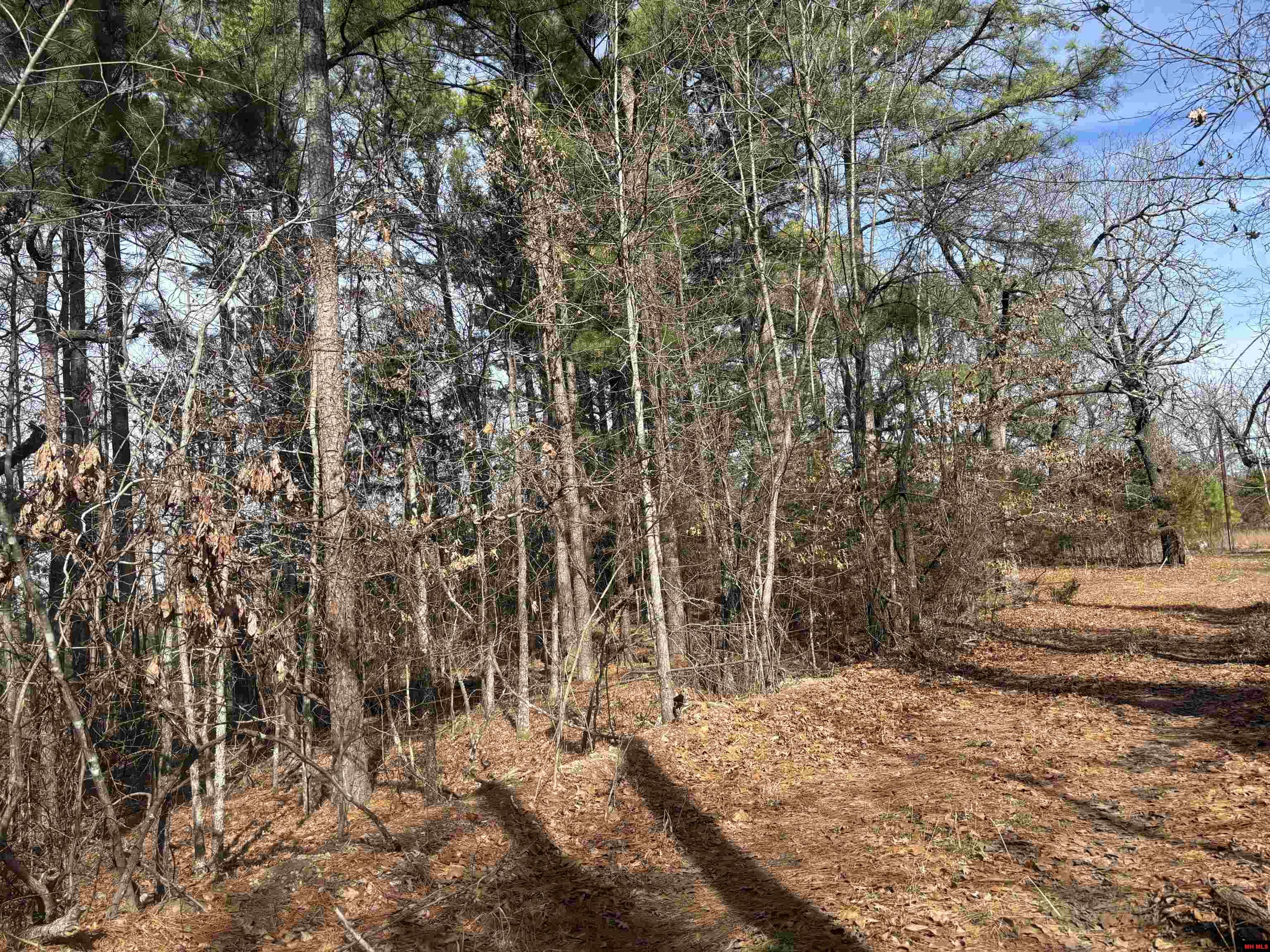 001-00639-001 Cr 230