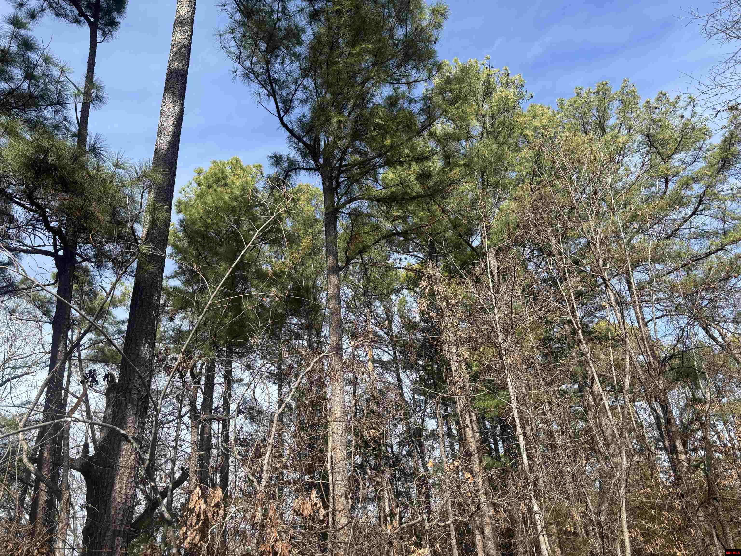 001-00639-001 Cr 230