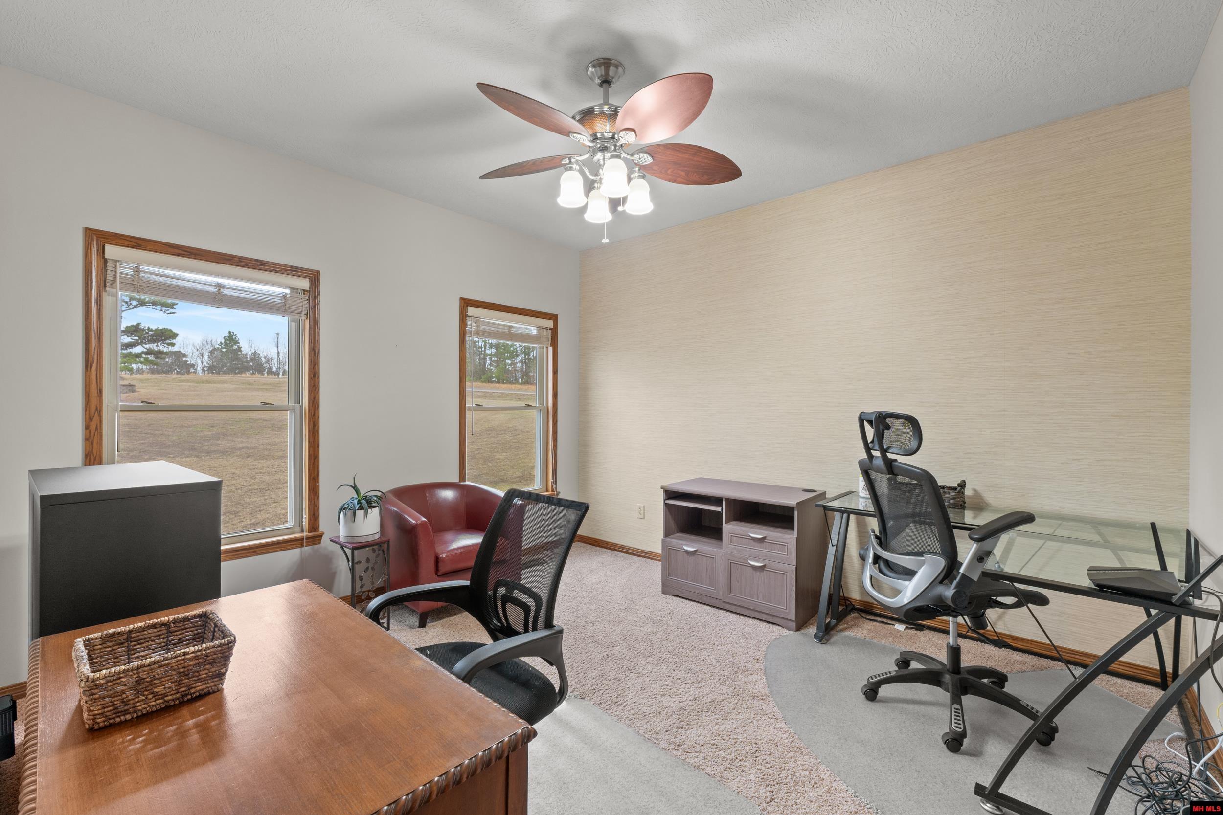 206 SWISS ALPS LANE Mountain Home, AR 72653