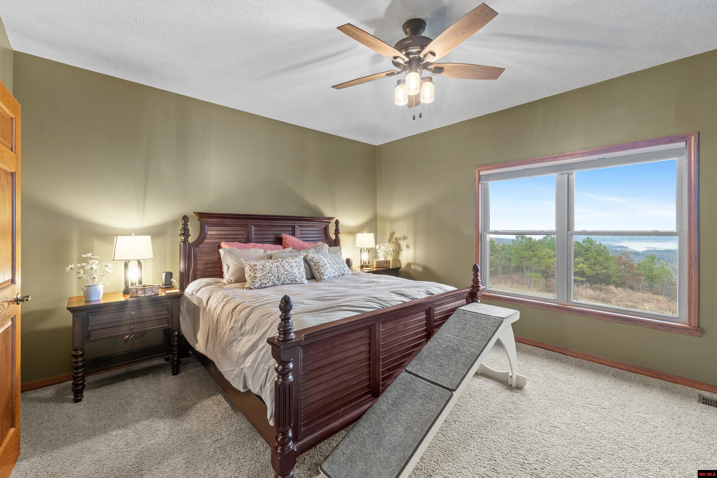 206 SWISS ALPS LANE Mountain Home, AR 72653