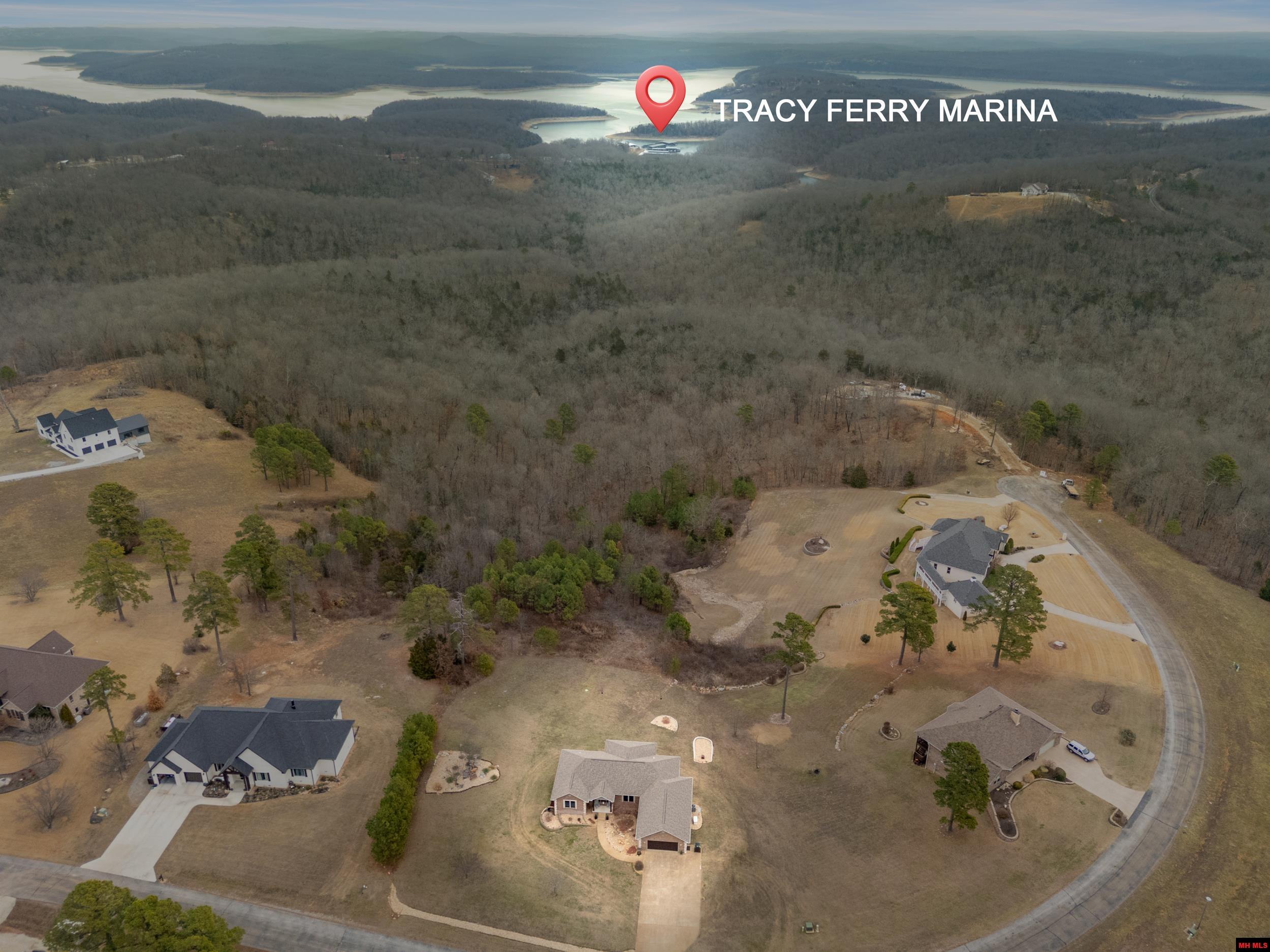206 SWISS ALPS LANE Mountain Home, AR 72653