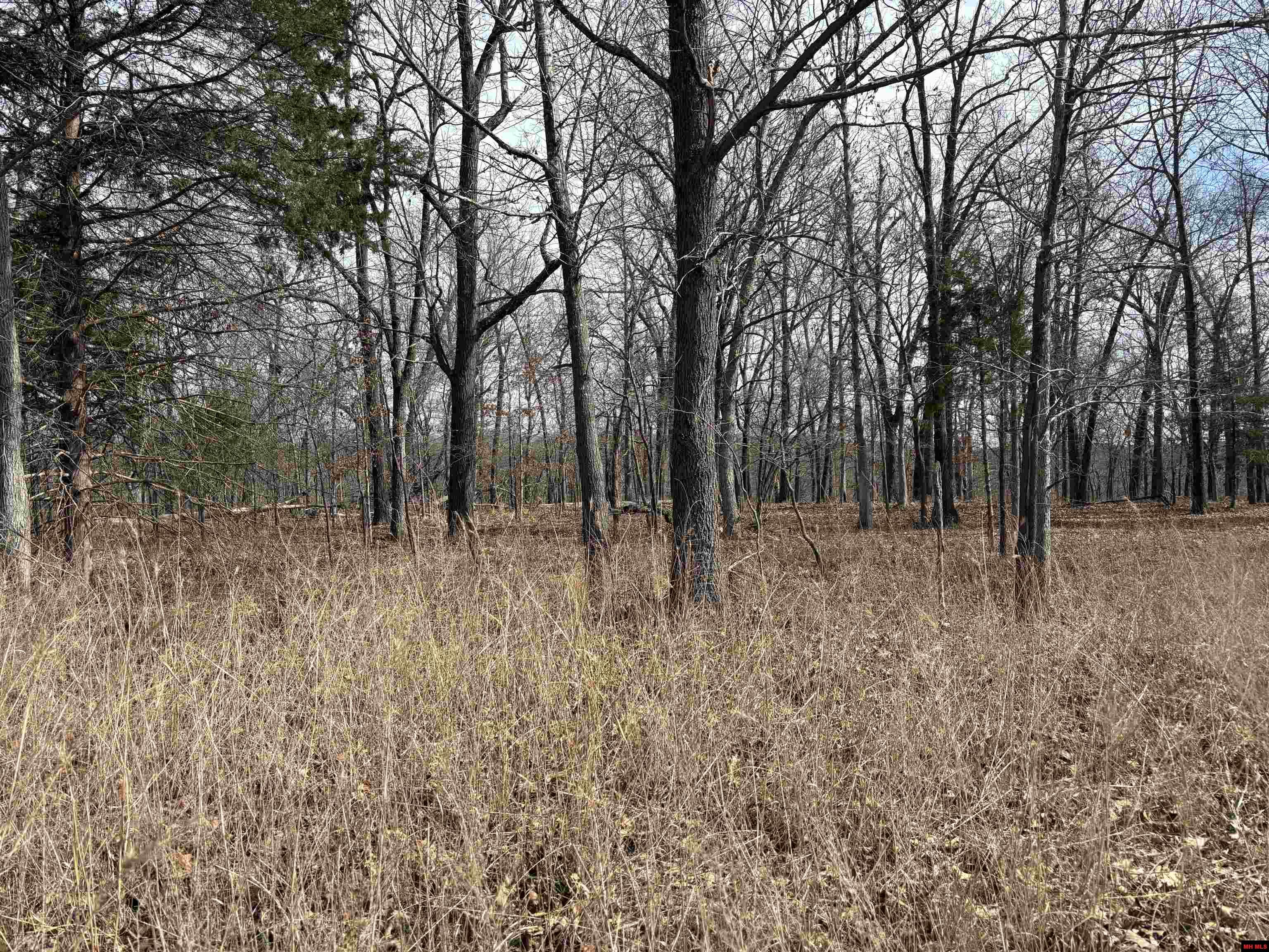 002-11124-006 Lake Point Bluff