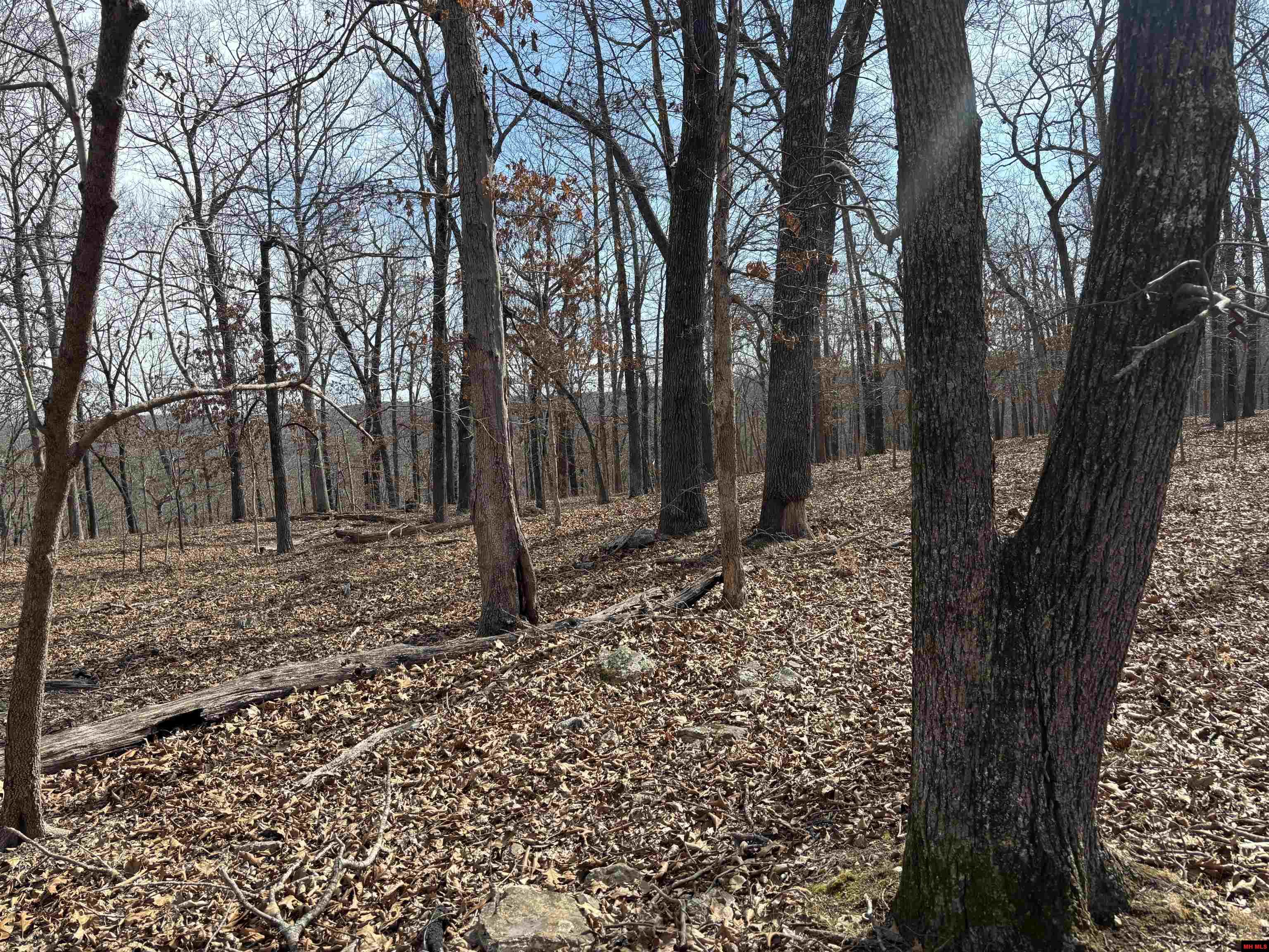 002-11124-006 Lake Point Bluff