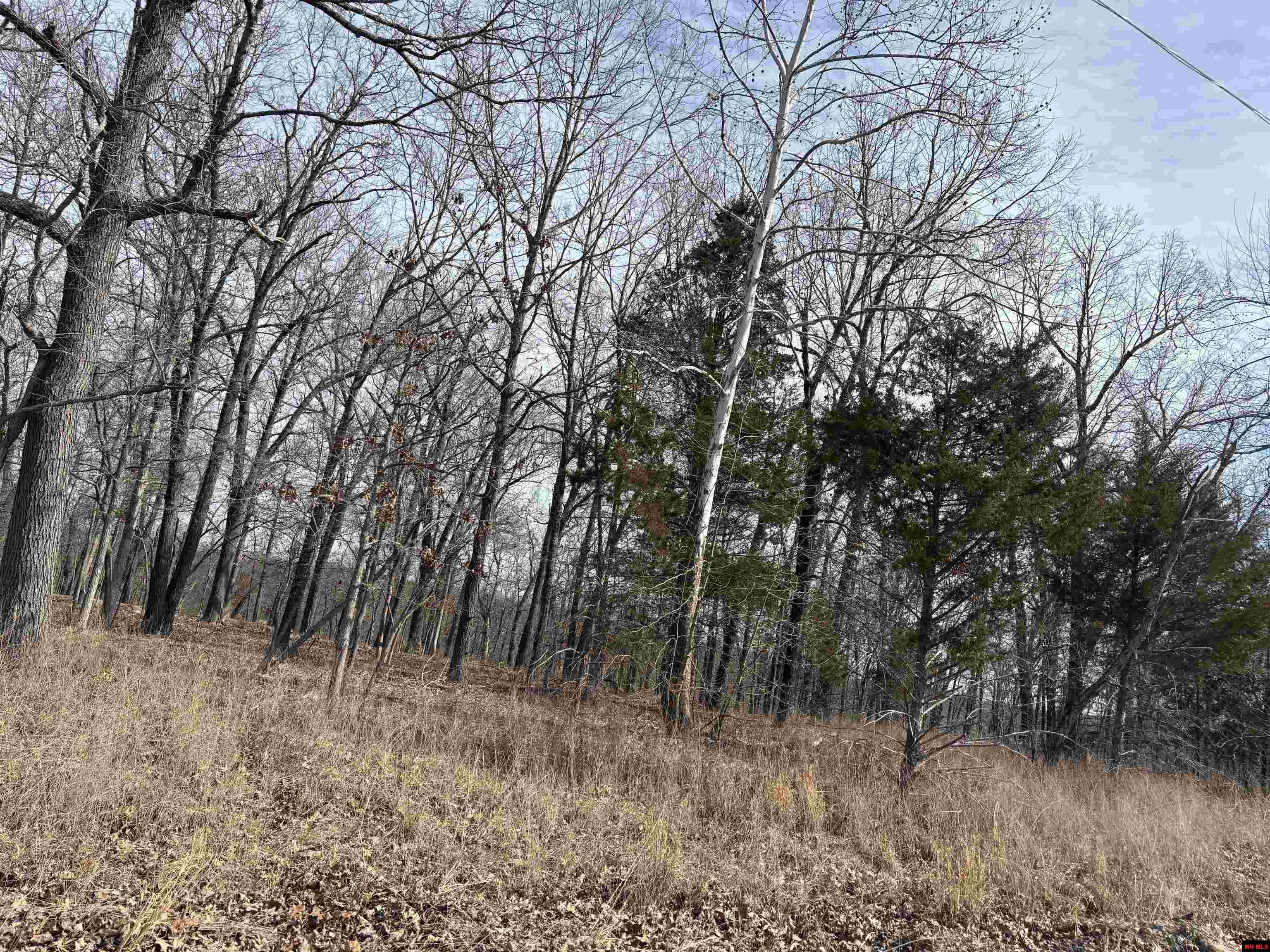 002-11124-006 Lake Point Bluff