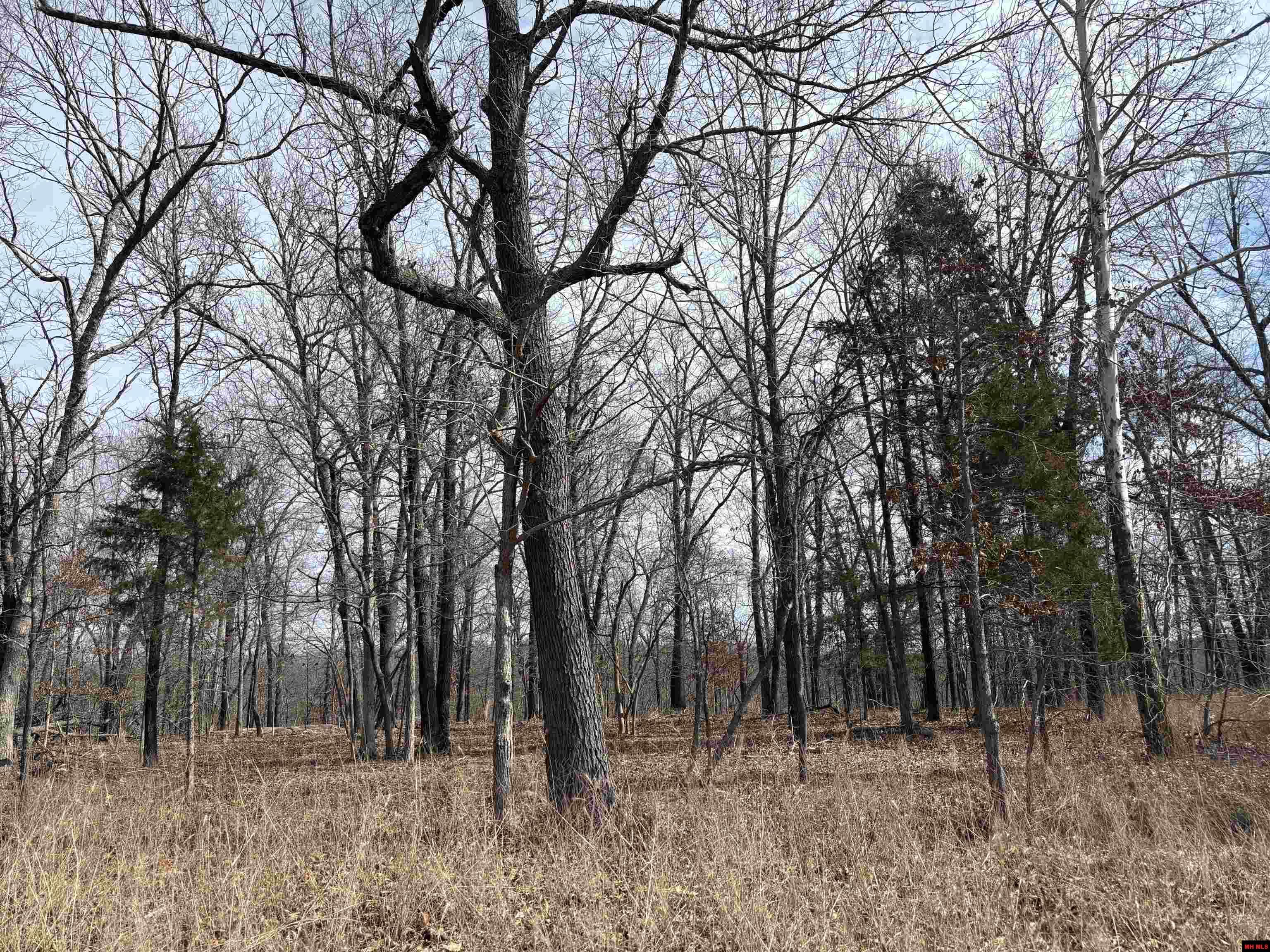 002-11124-006 Lake Point Bluff