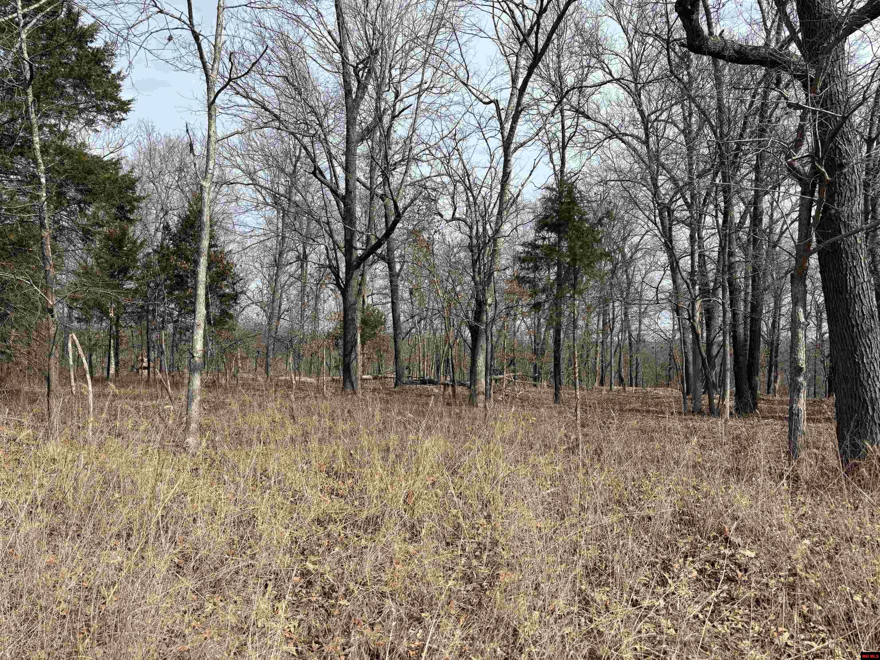 002-11124-006 Lake Point Bluff