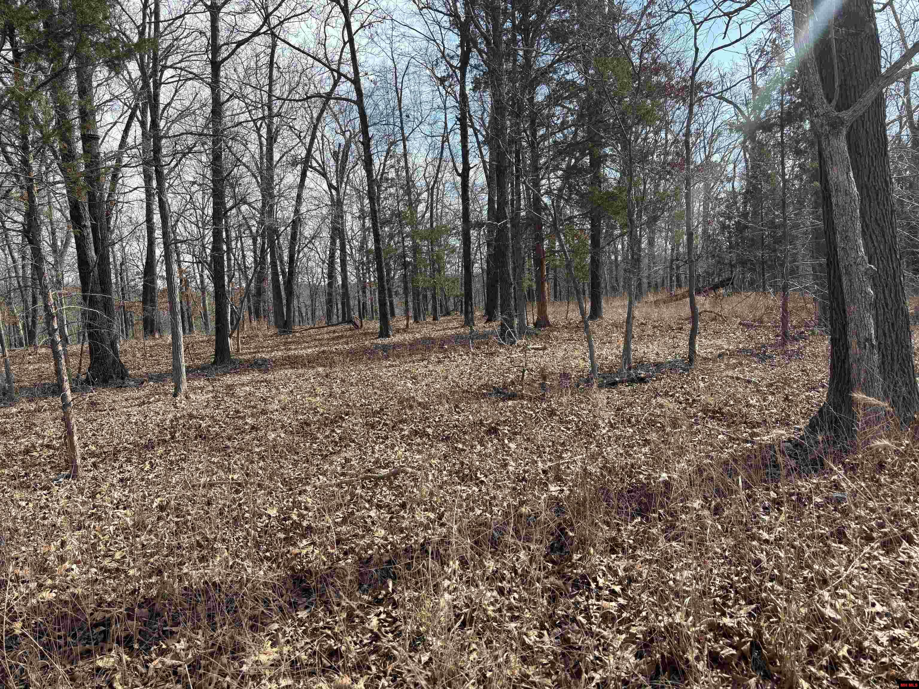 002-11124-006 Lake Point Bluff