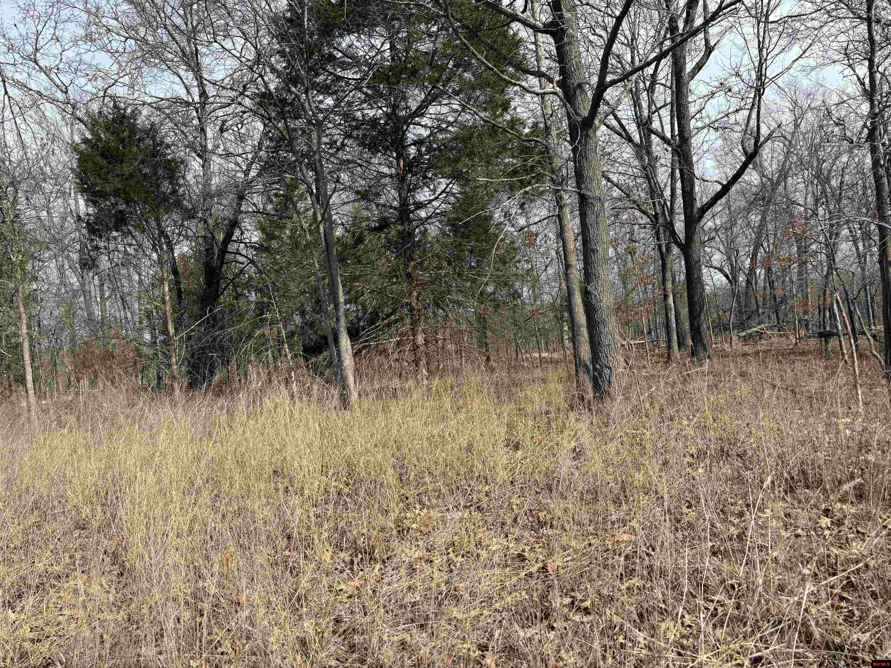 002-11124-006 Lake Point Bluff