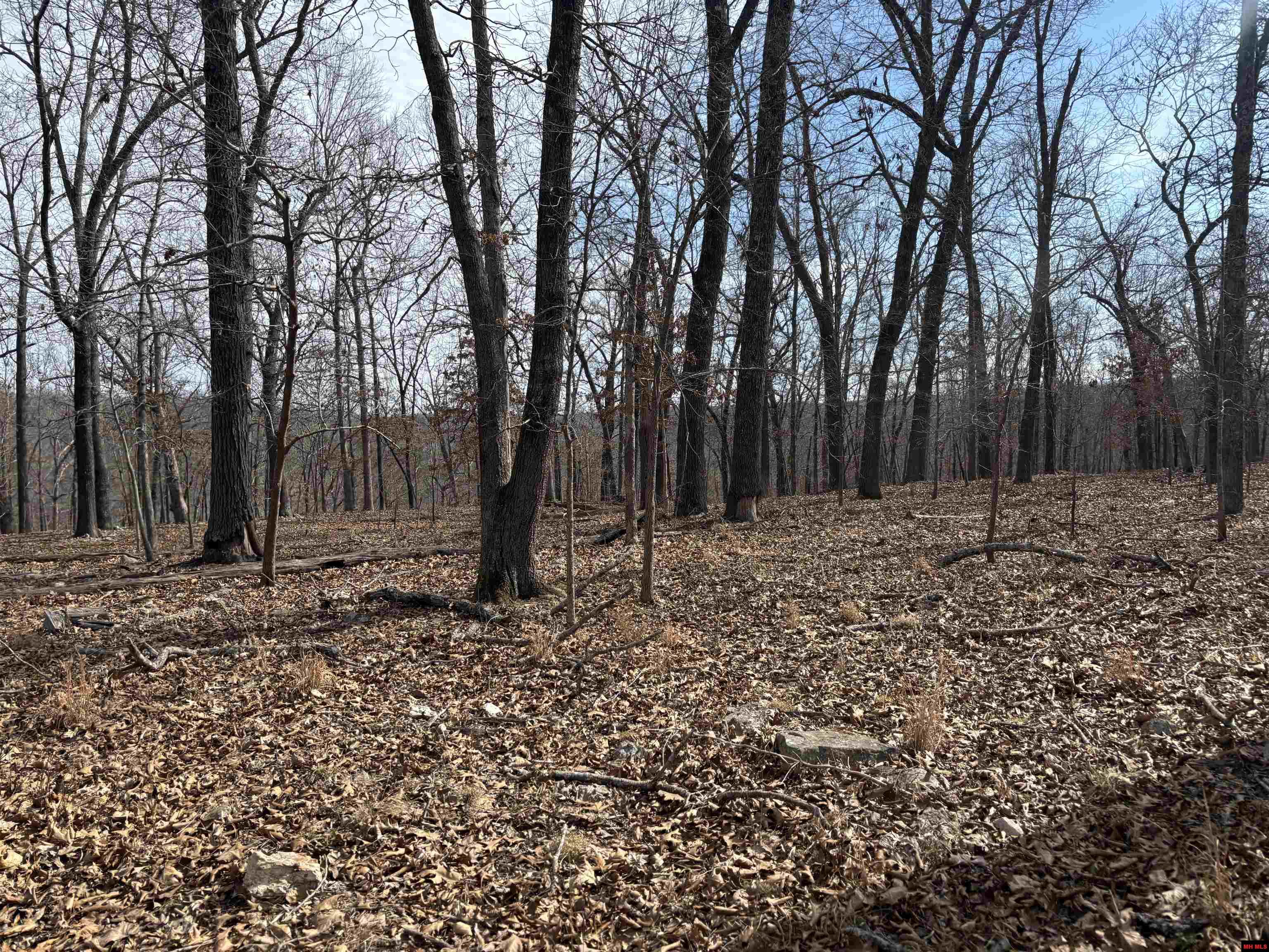 002-11124-006 Lake Point Bluff