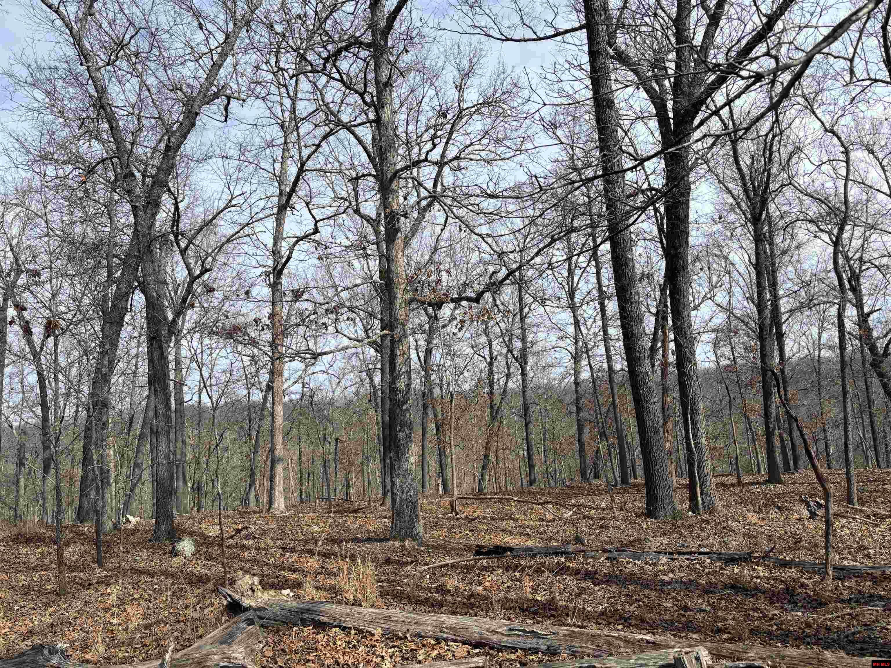 002-11124-006 Lake Point Bluff