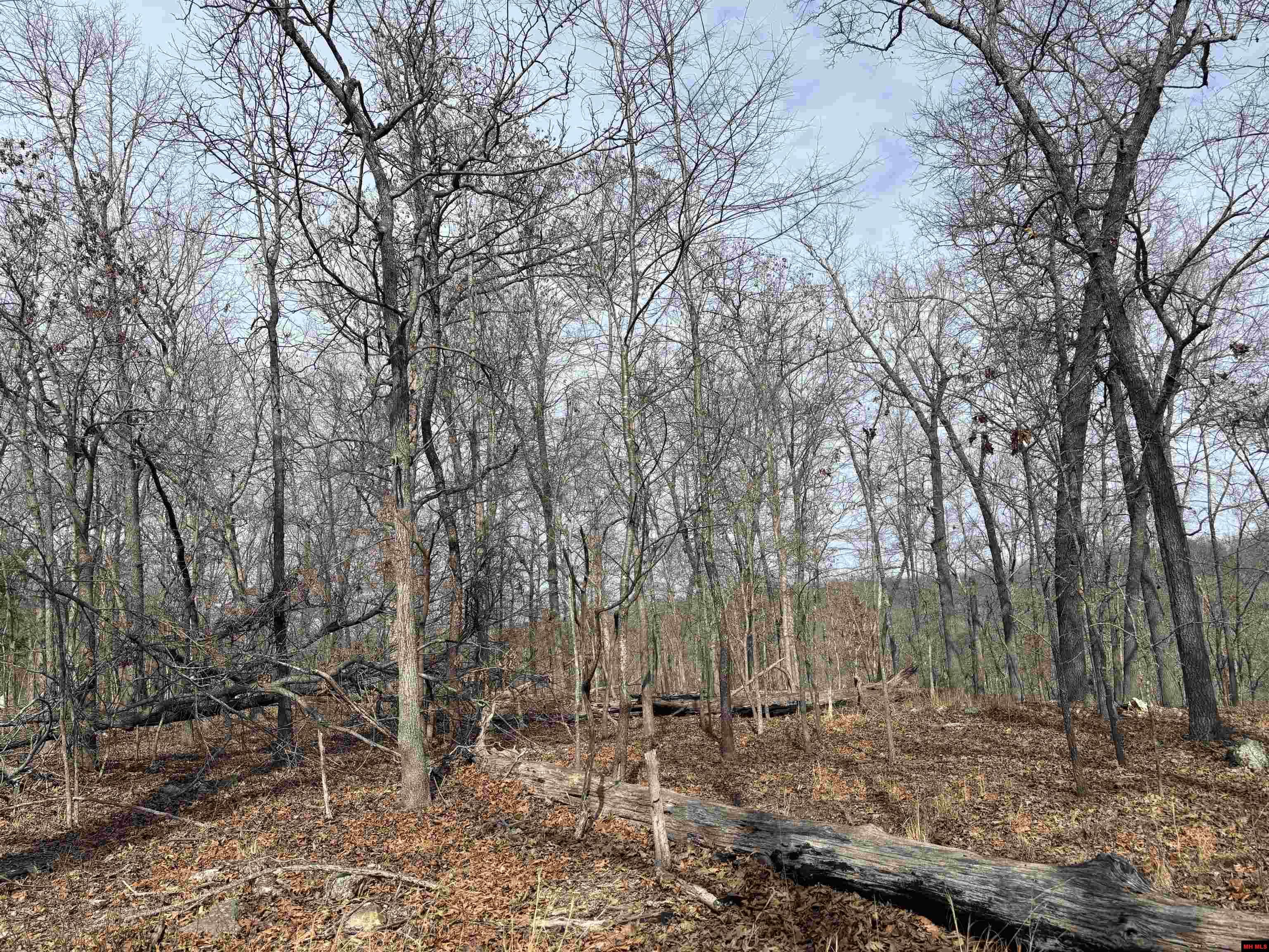 002-11124-006 Lake Point Bluff